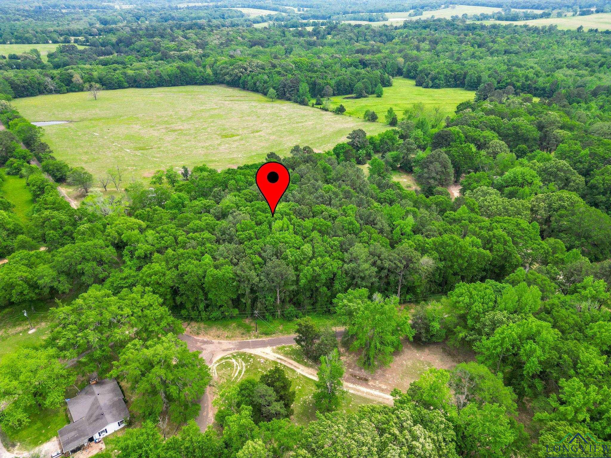 TBD Giraffe Rd, Gilmer, Texas image 3
