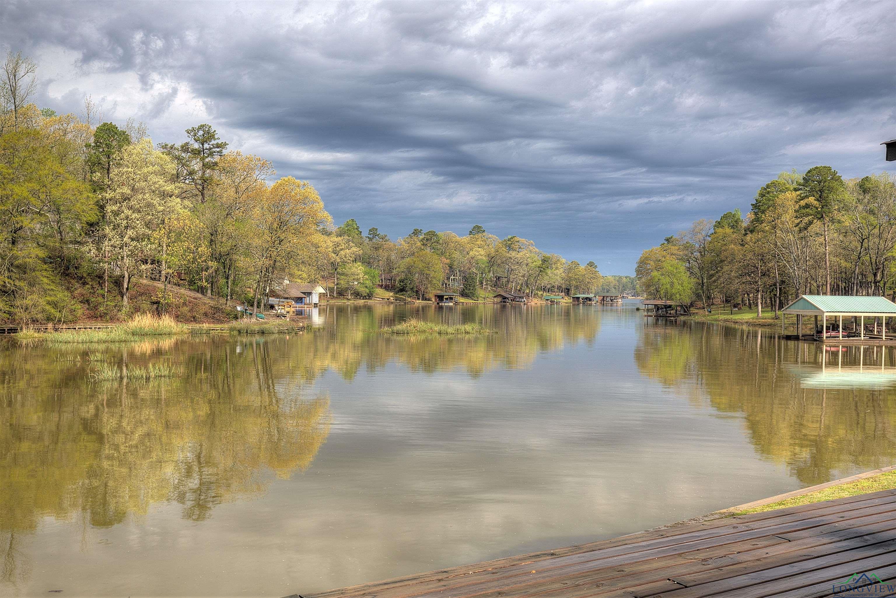 137 Sandy Lake Rd, Scroggins, Texas image 13