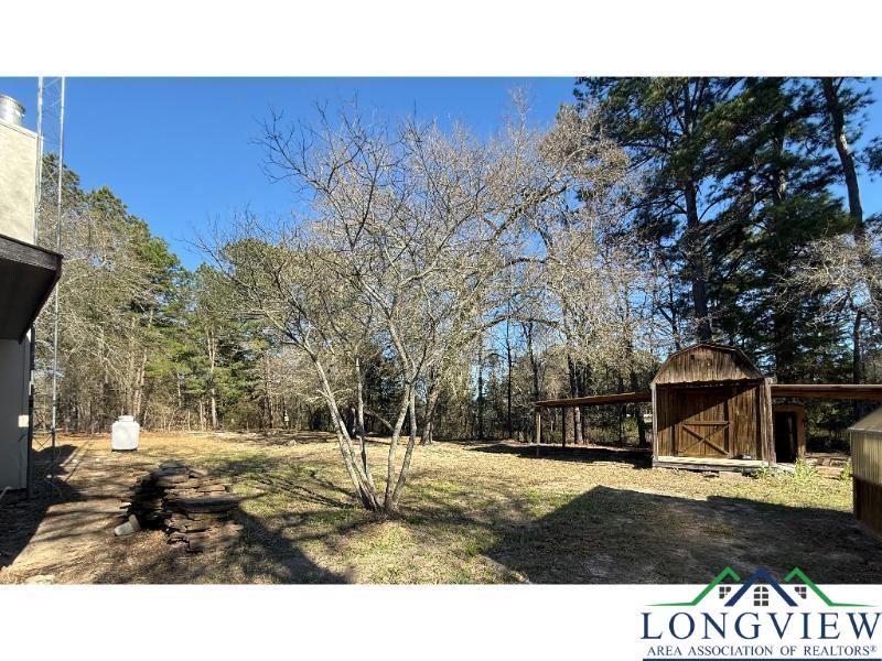 155 Private Road 3483, Big Sandy, Texas image 43