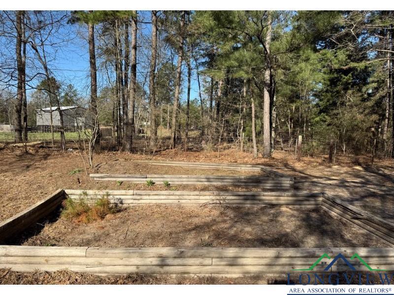 155 Private Road 3483, Big Sandy, Texas image 38