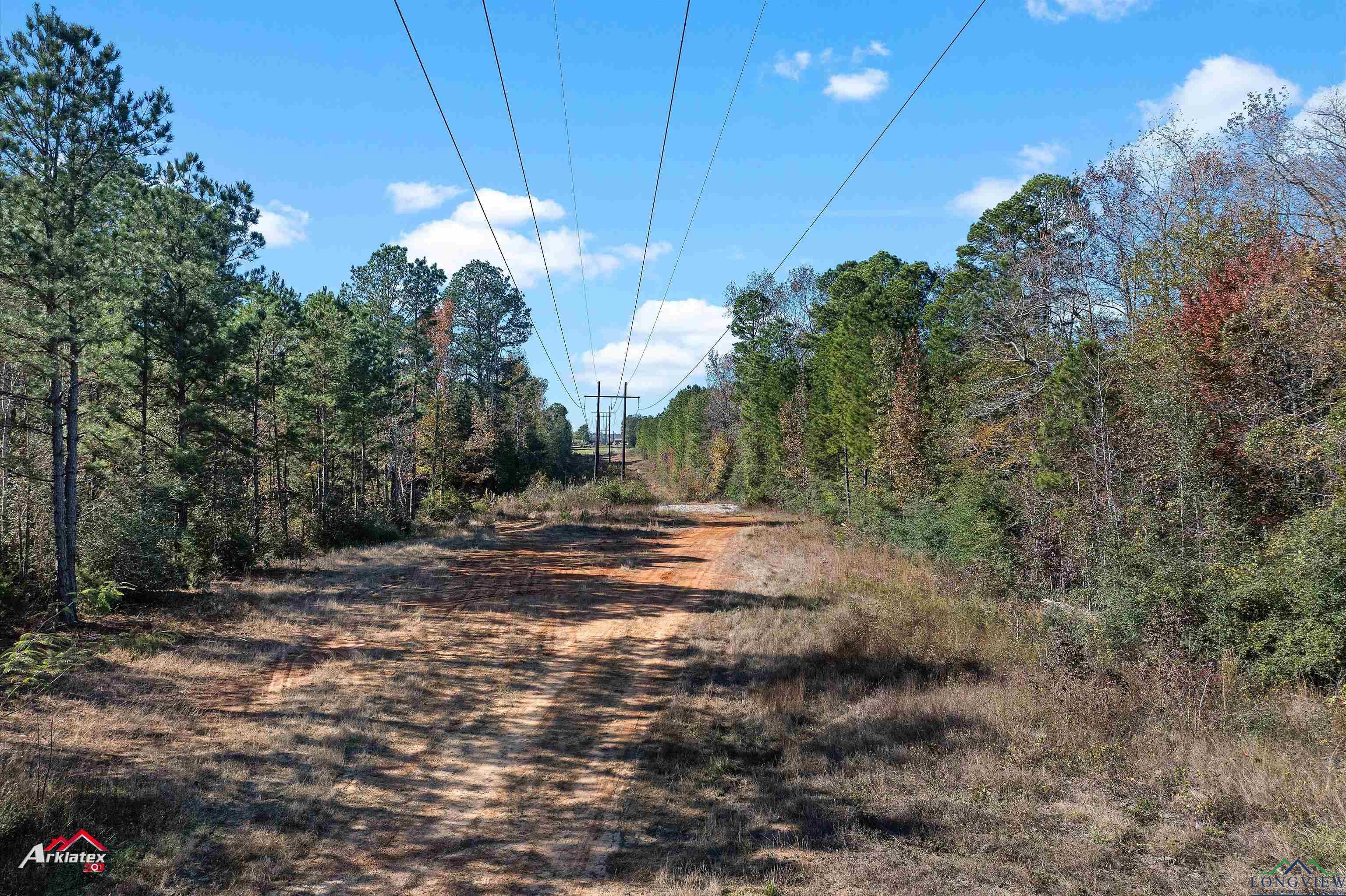 1437 Allen Rd, Tatum, Texas image 9