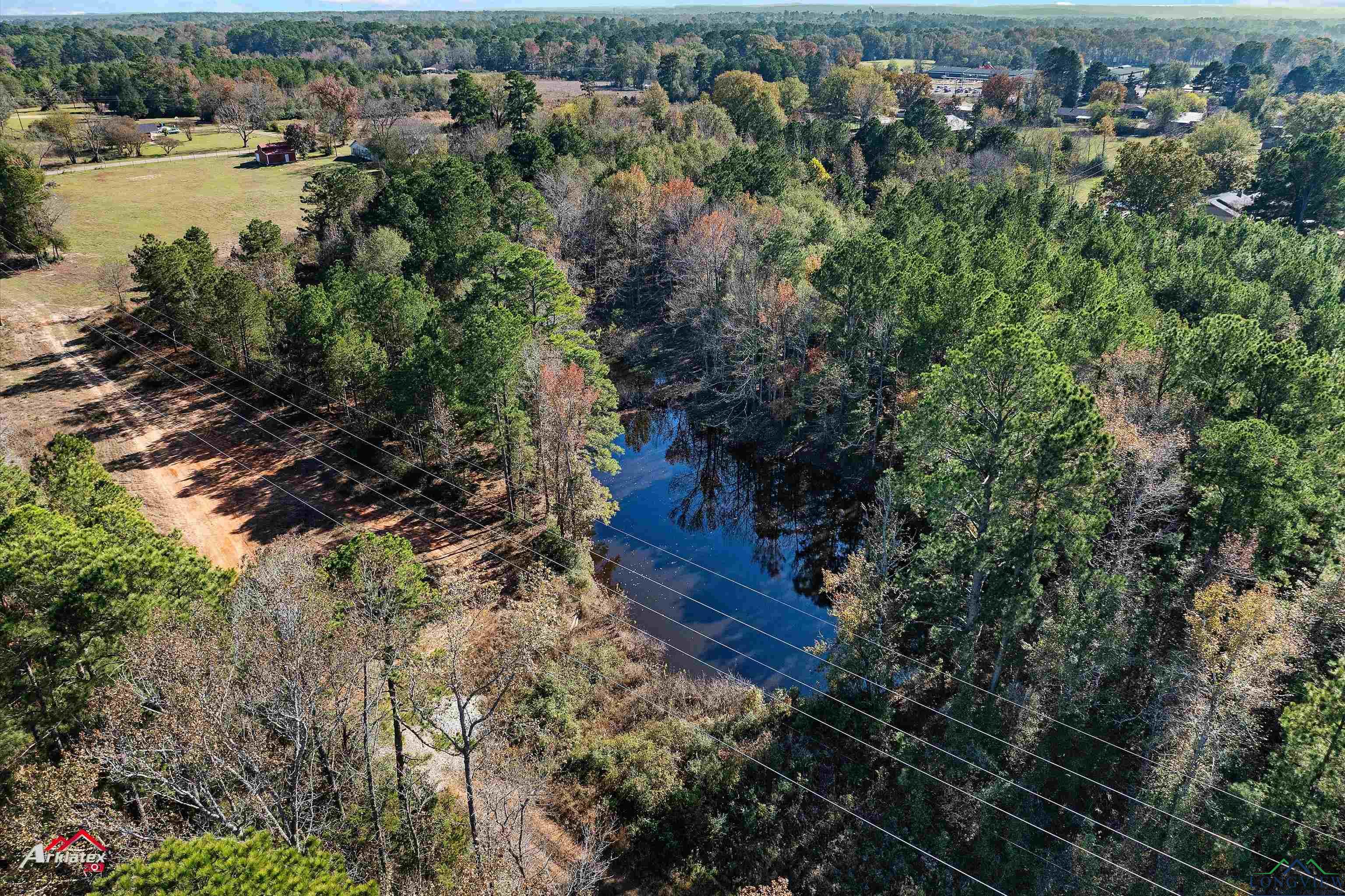 1437 Allen Rd, Tatum, Texas image 8