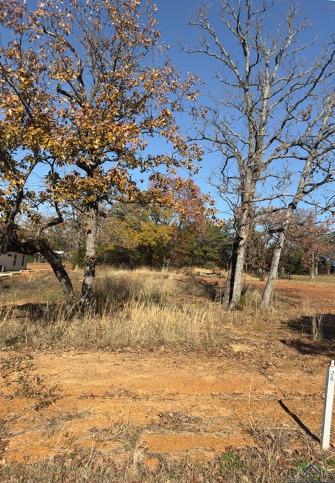 Vacant Land For Sale - 19688 Dove Ridge Dr<br/> Lindale, TX 75771