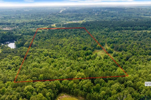Vacant Land For Sale - TBD Pr 1331 Tract 3<br/> Harrison County, Elysian Fields, TX 75642