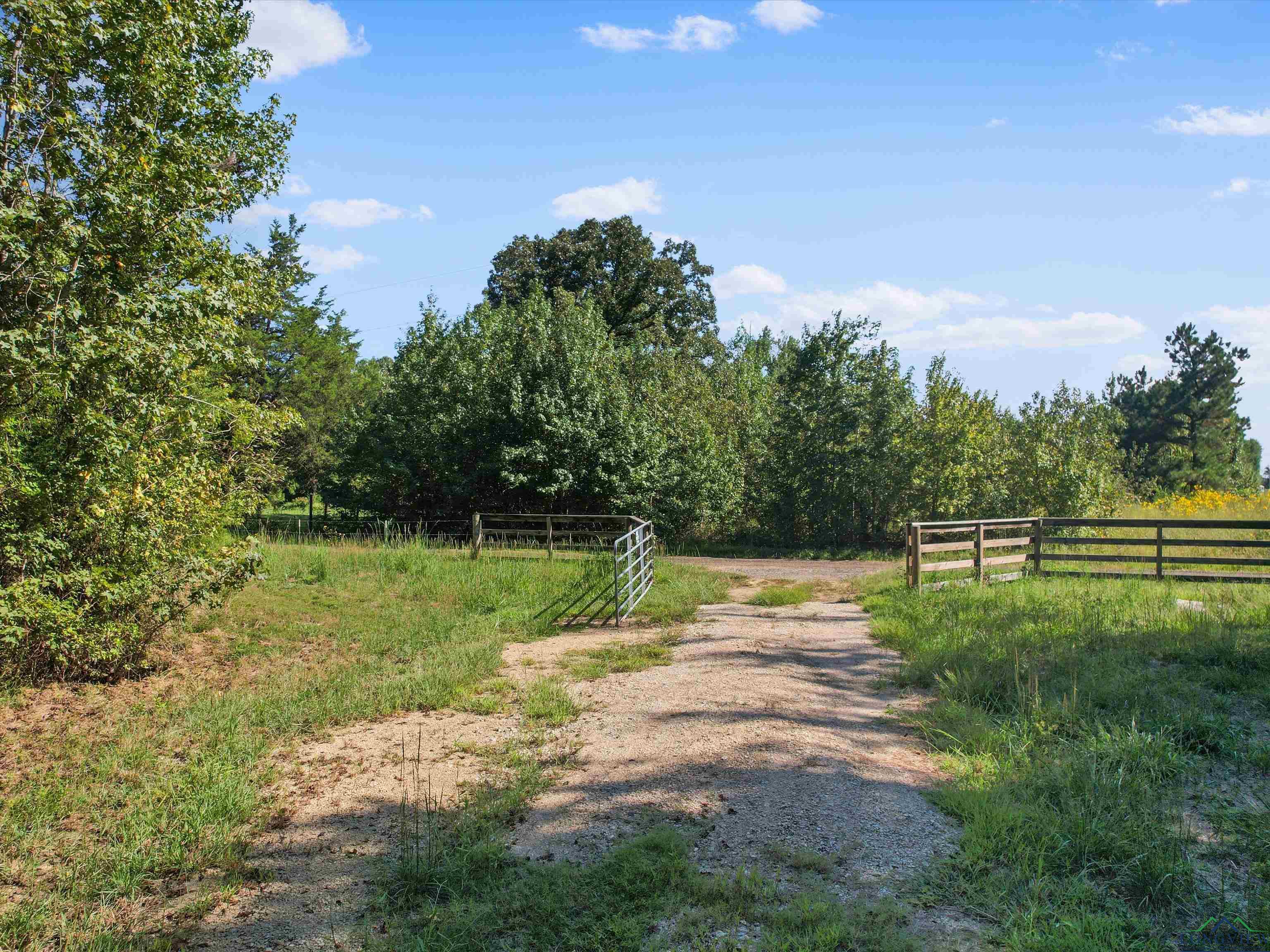 TBD Cr 4421, Pittsburg, Texas image 17