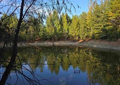 Vacant Land For Sale - TBD Cr 2864/off Road<br/> Cass County, Hughes Springs, TX 75656