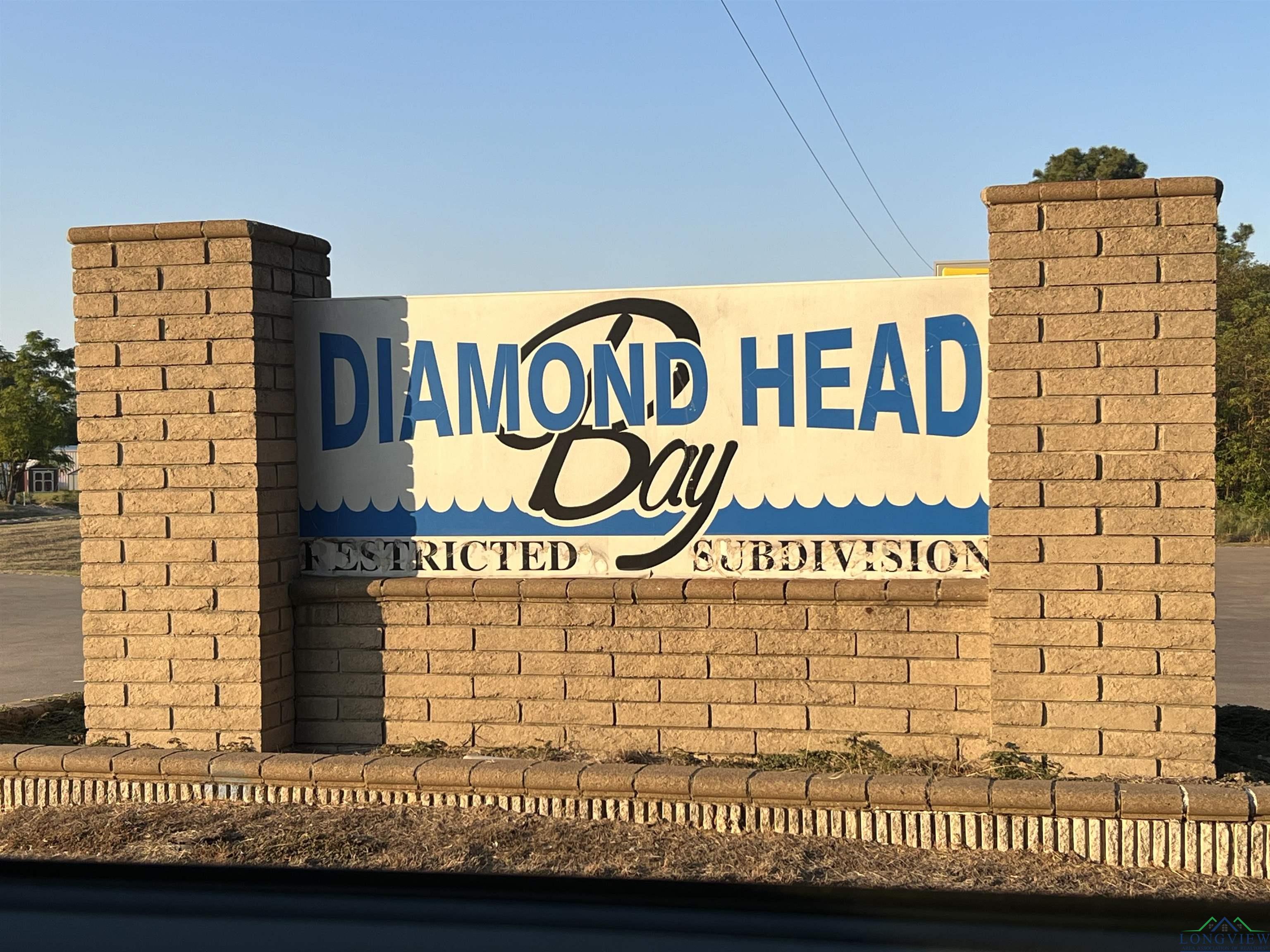 TBD Diamond Bay Dr, Frankston, Texas image 12