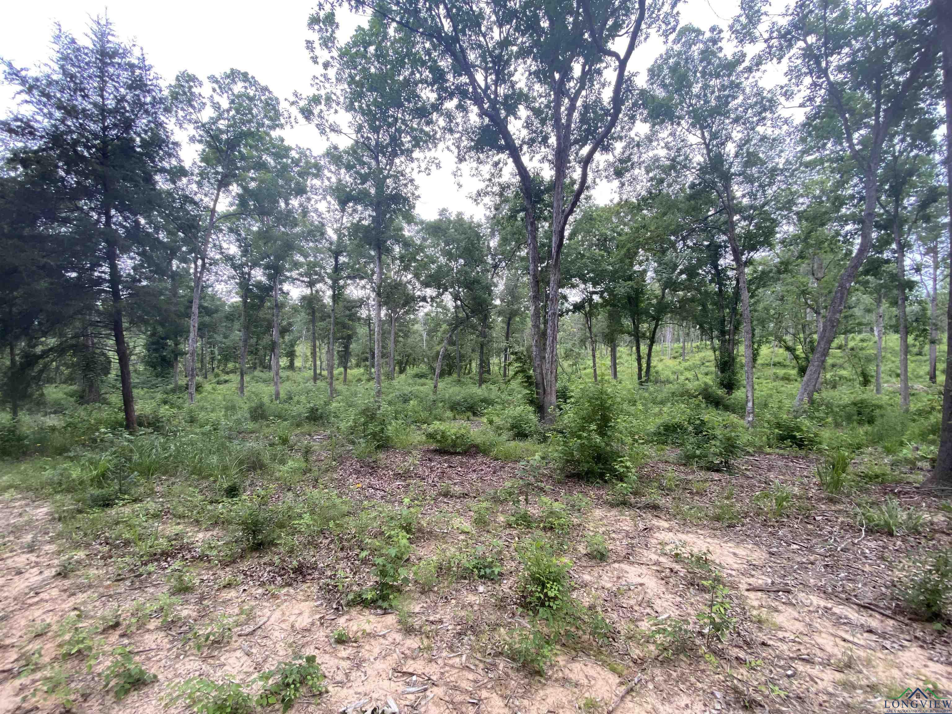 12727 N Us Hwy 259, Ore City, Texas image 19