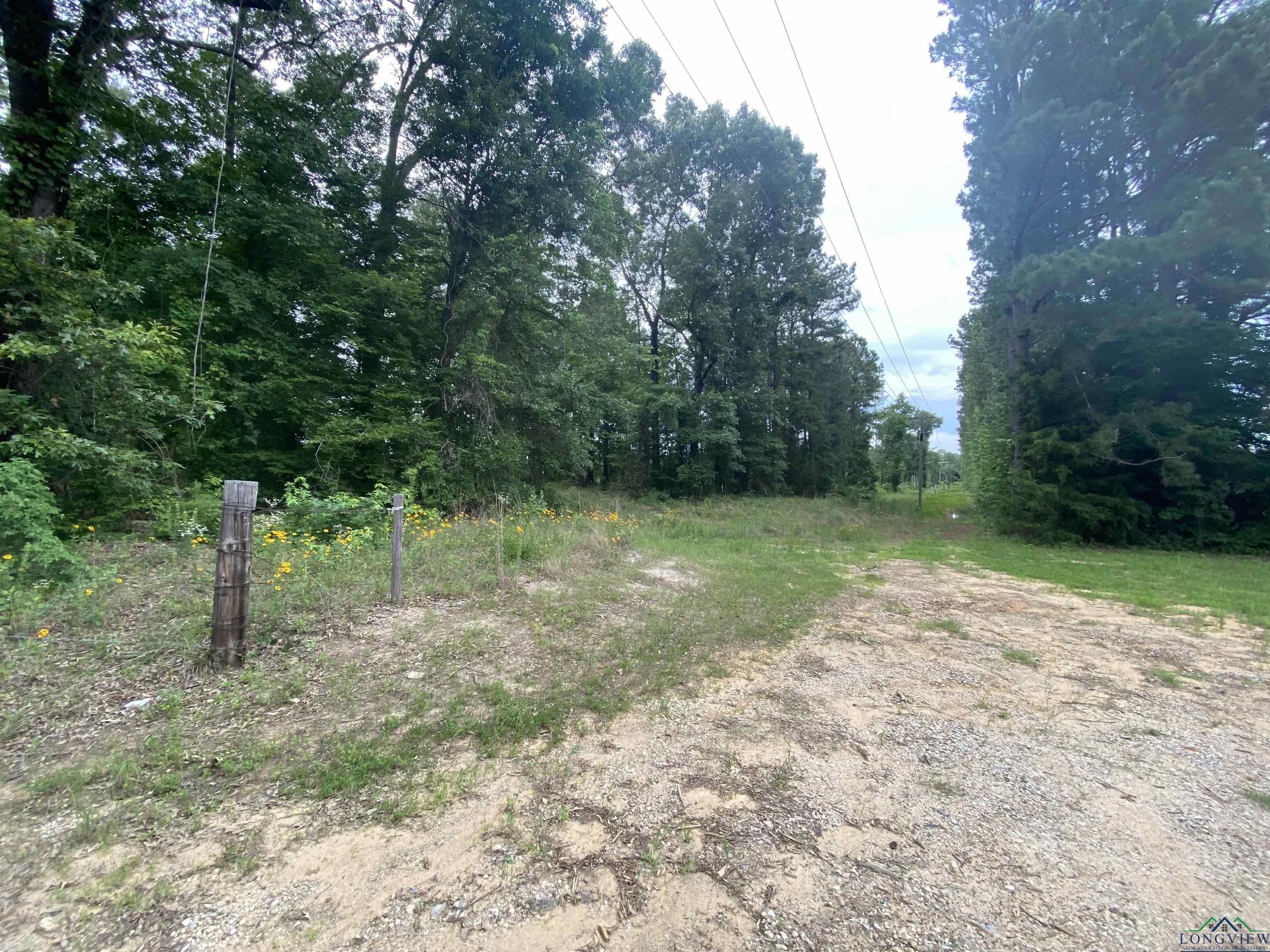12727 N Us Hwy 259, Ore City, Texas image 11