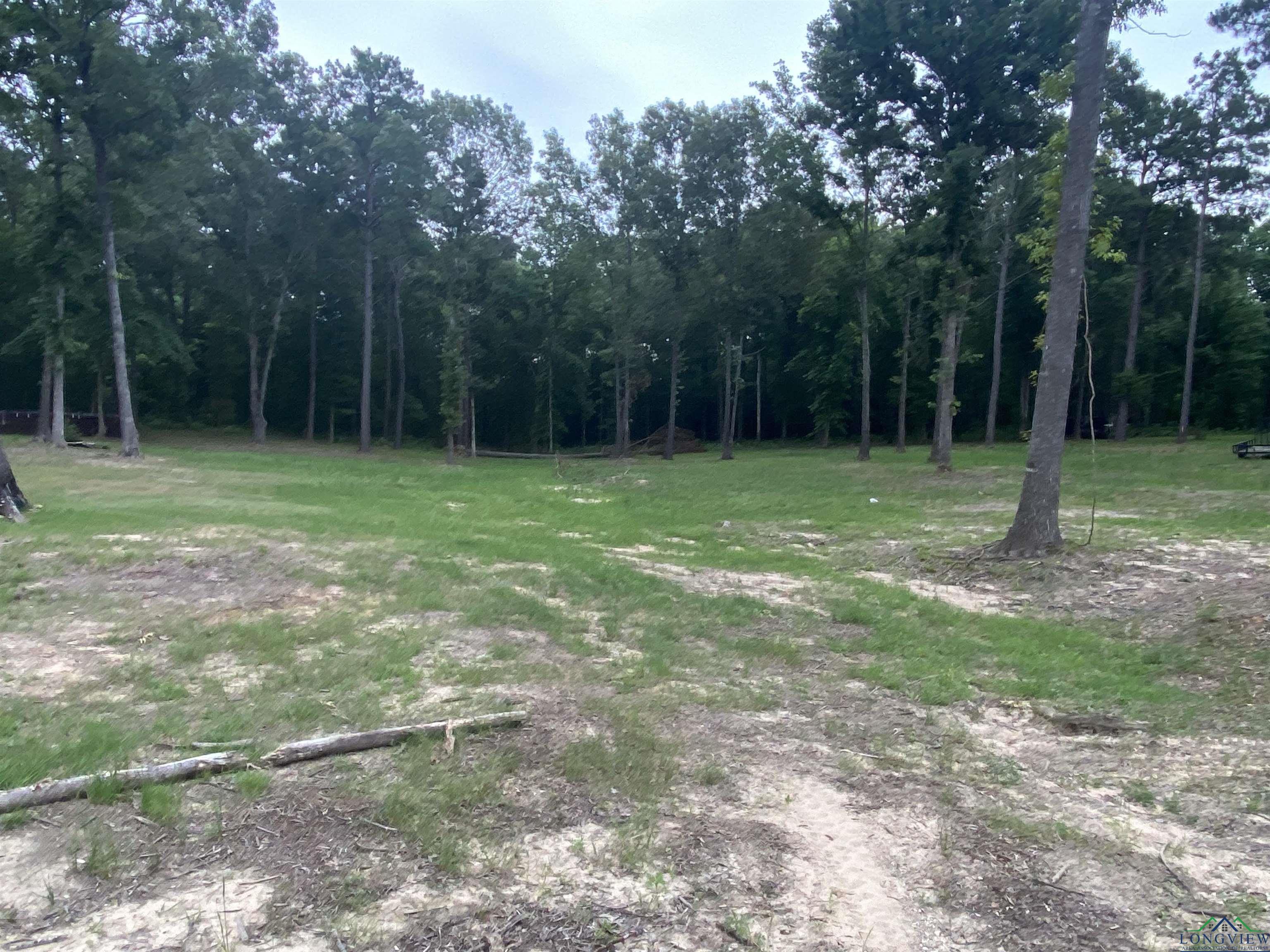 12727 N Us Hwy 259, Ore City, Texas image 41