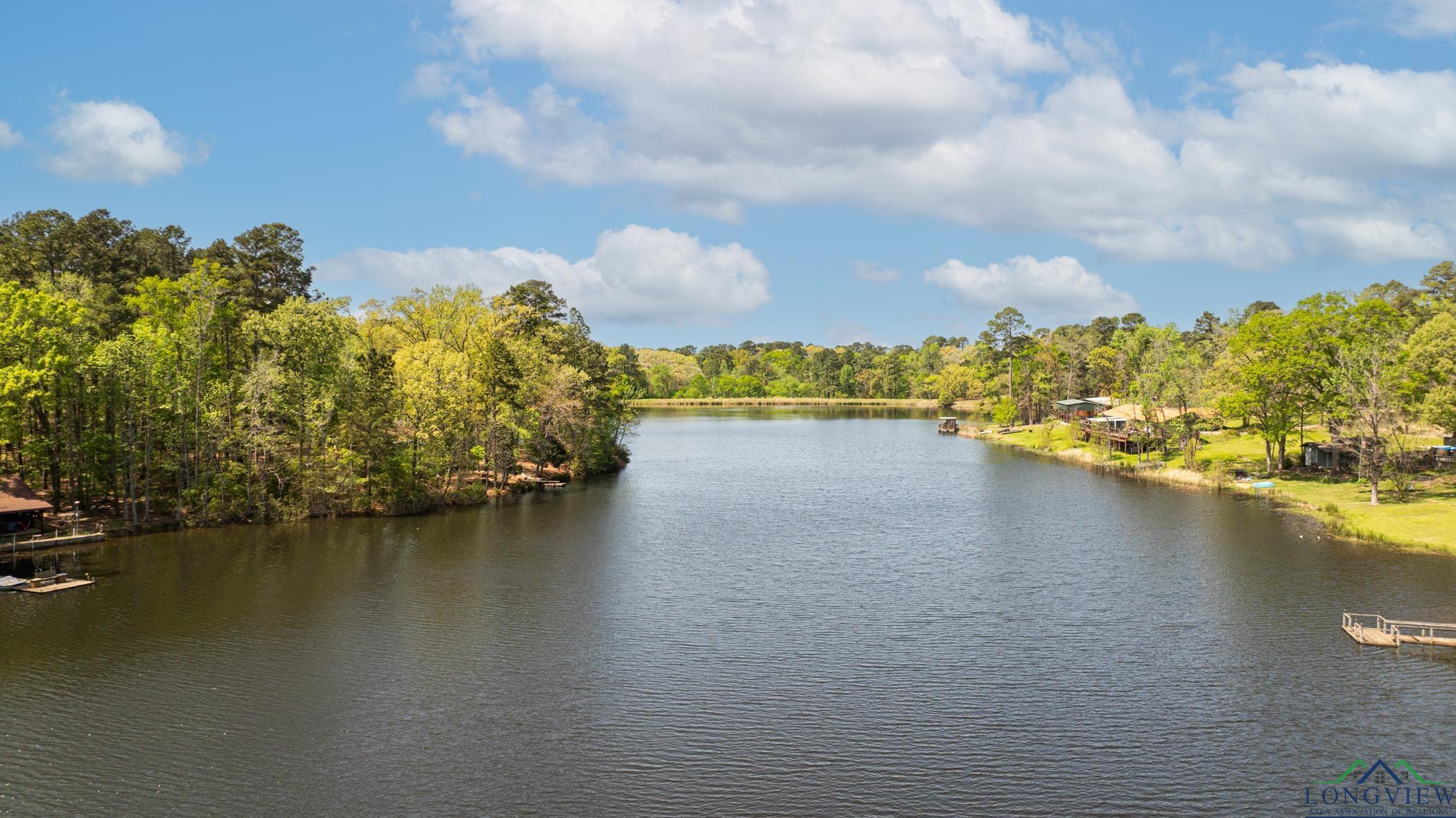 6759 Oakwood Drive, Gilmer, Texas image 4