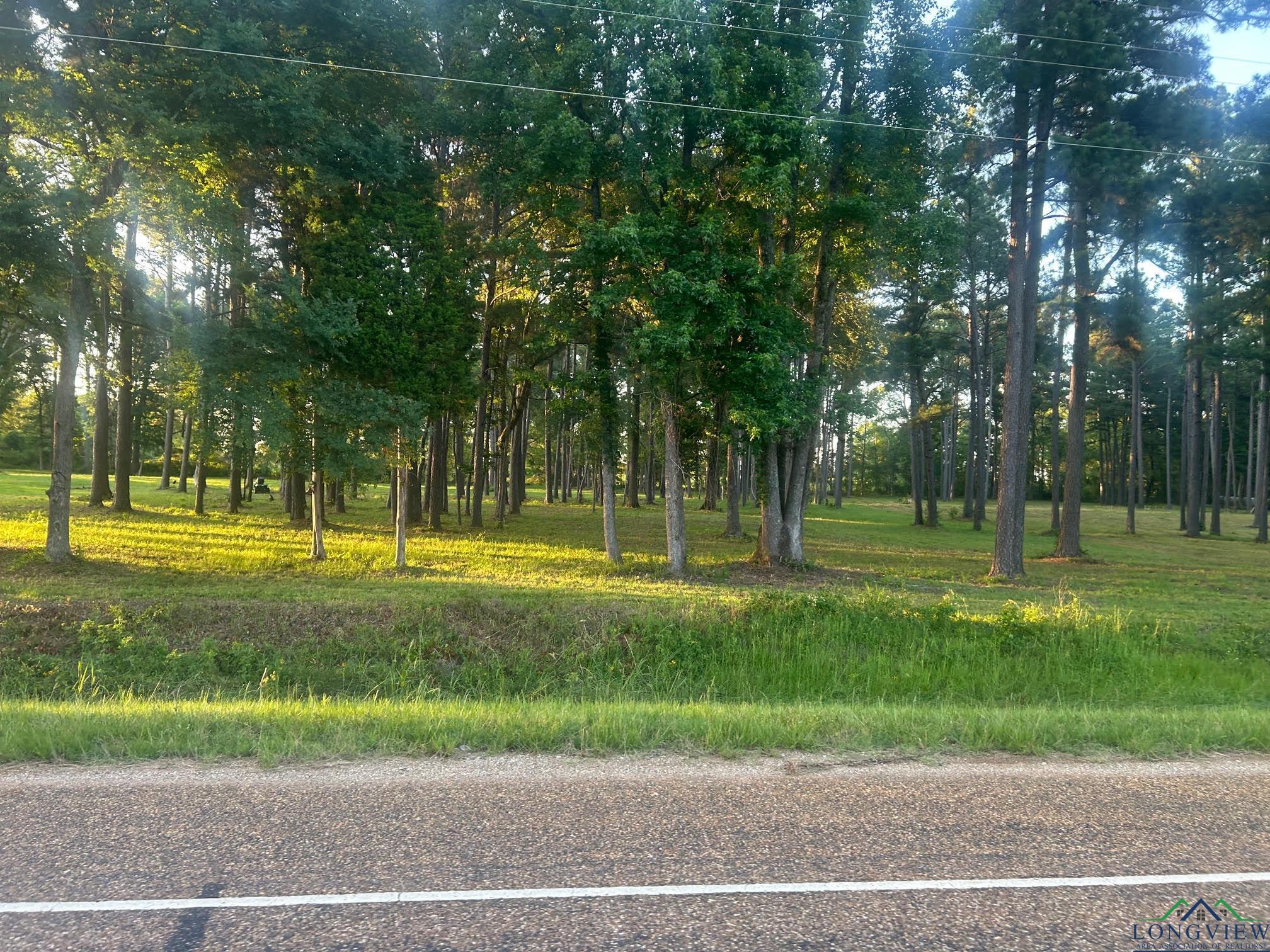 000 Karnack Highway, Marshall, Texas image 9
