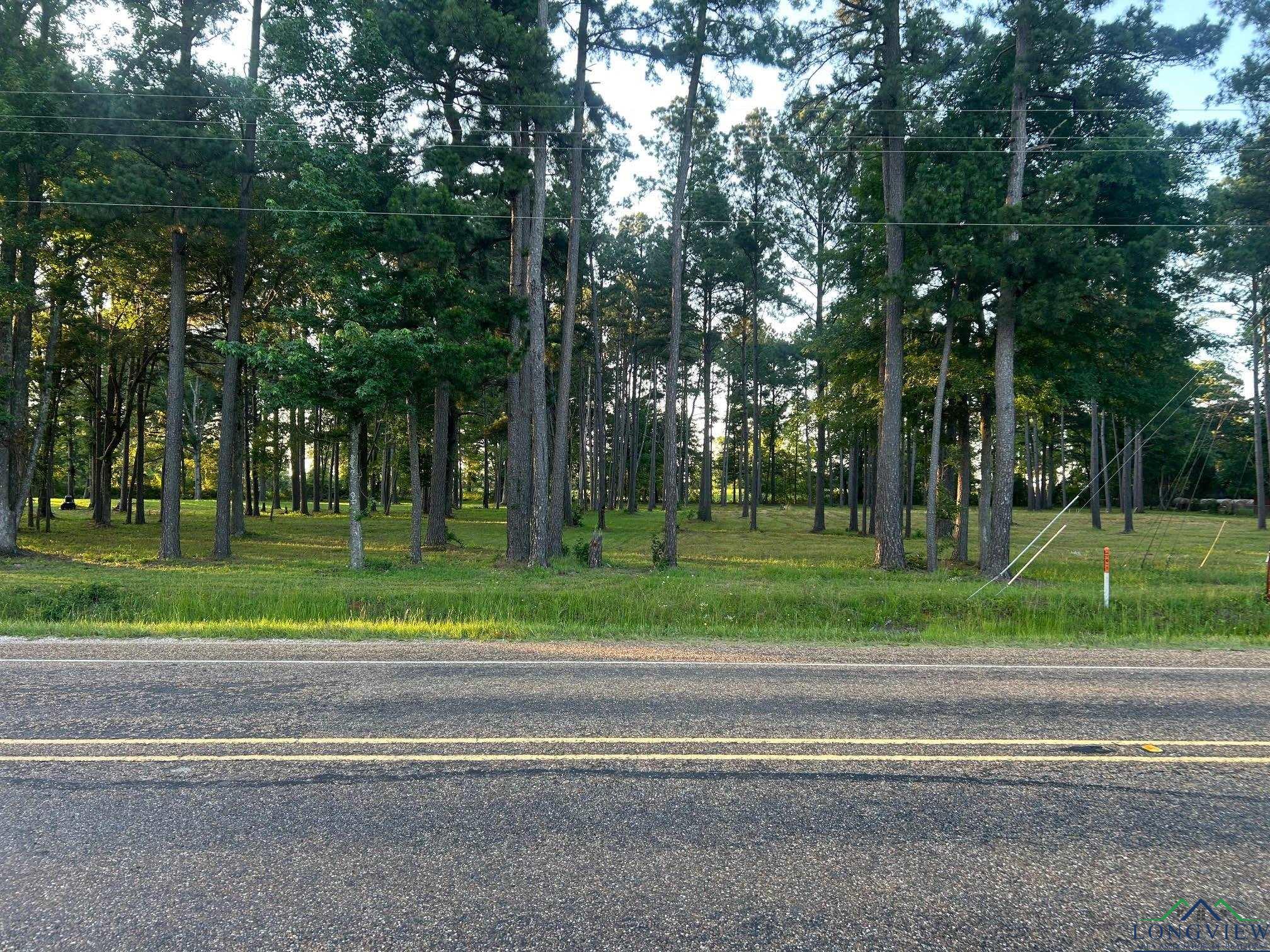 000 Karnack Highway, Marshall, Texas image 8