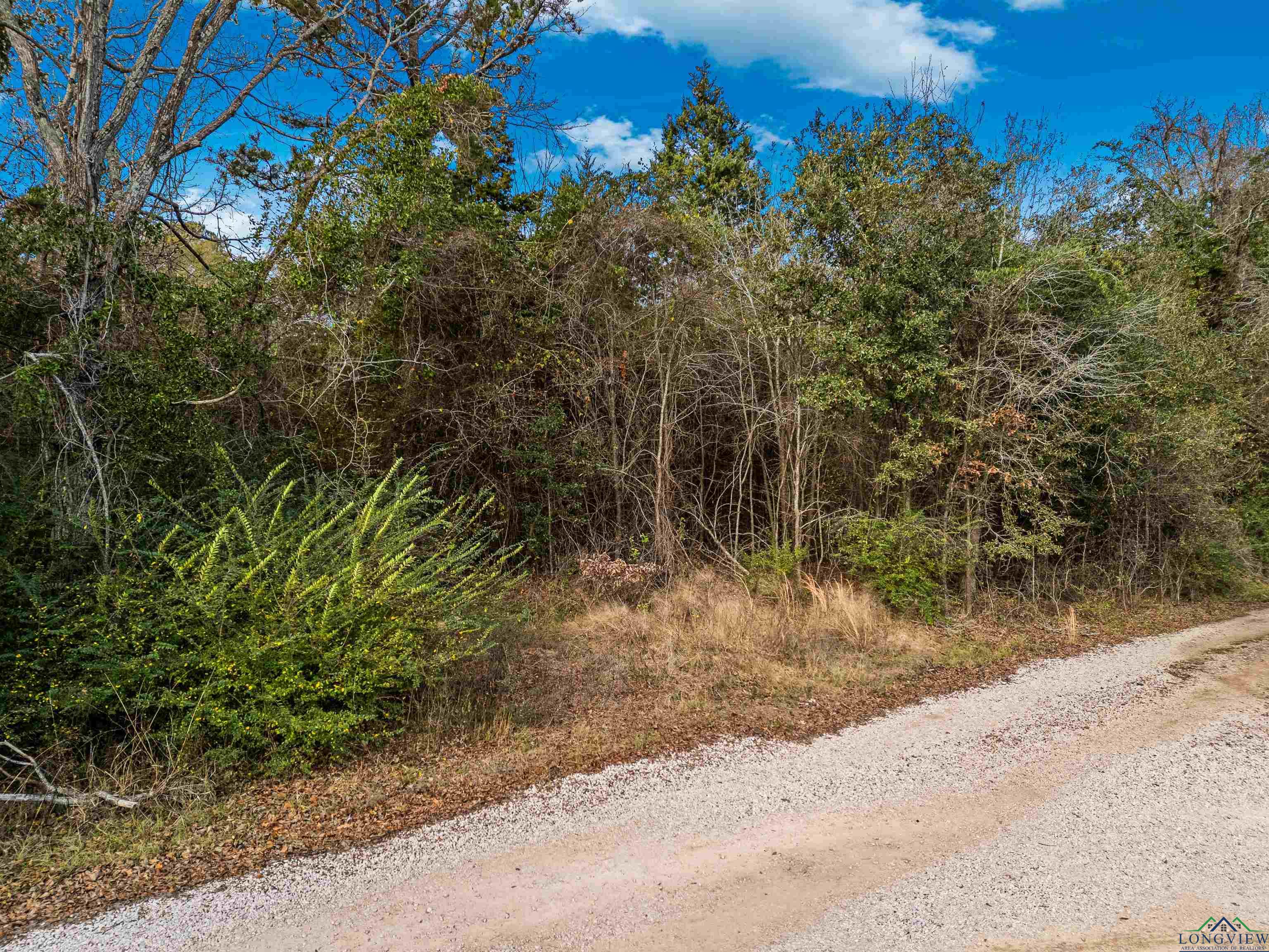 TBD Private Road 3722, Gladewater, Texas image 13