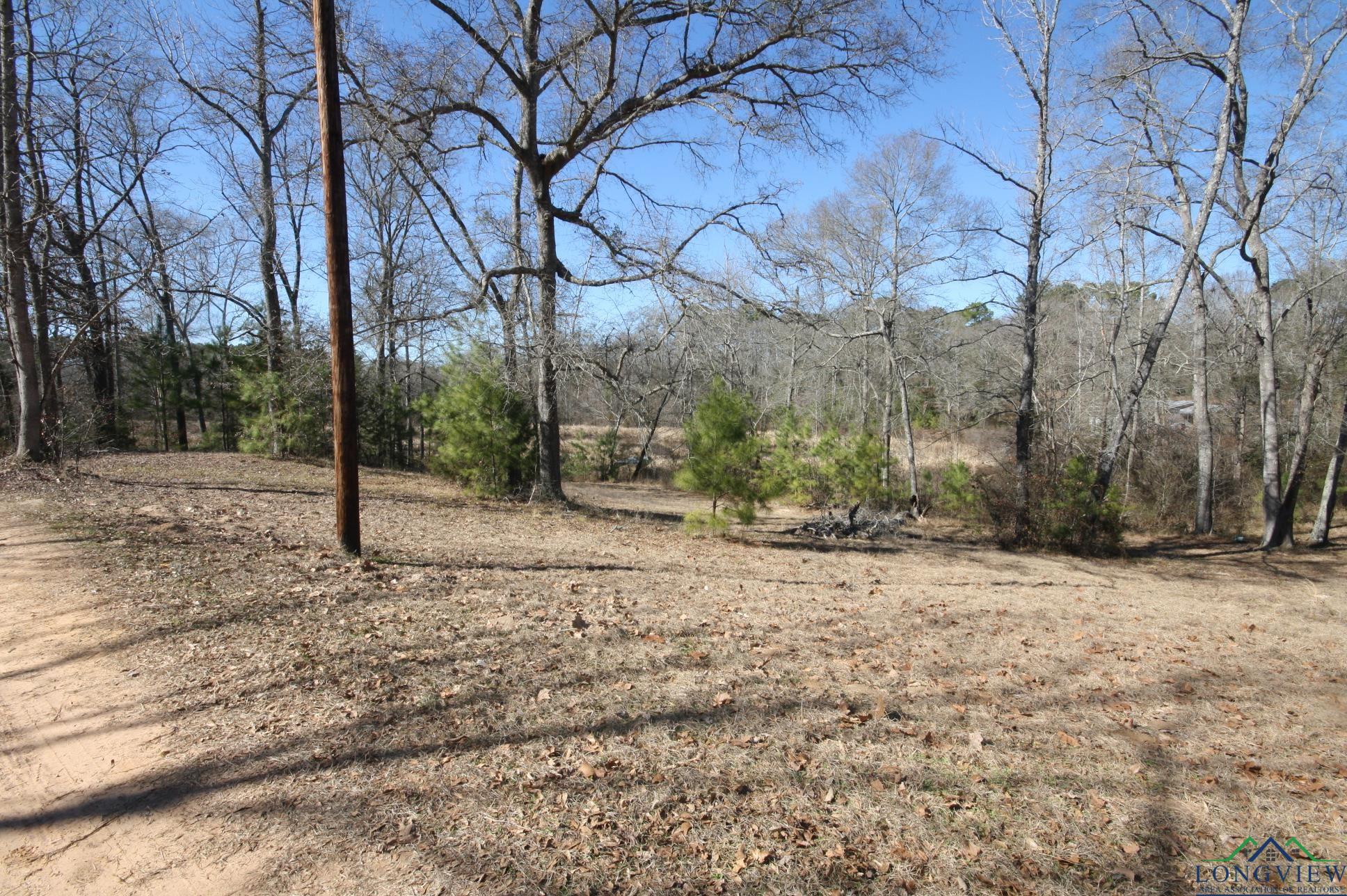 349 Private Road 8901, Harleton, Texas image 8