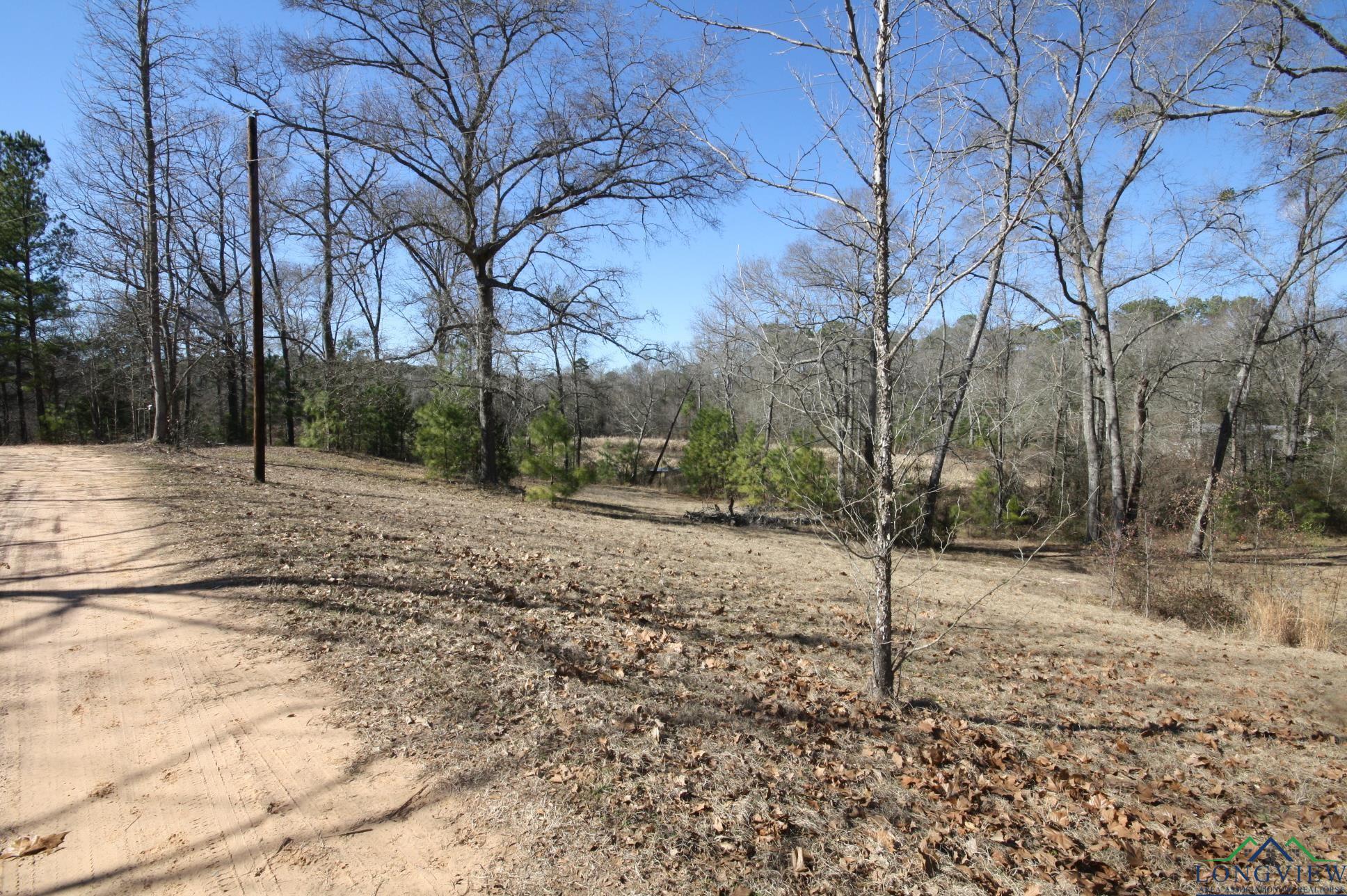 349 Private Road 8901, Harleton, Texas image 9