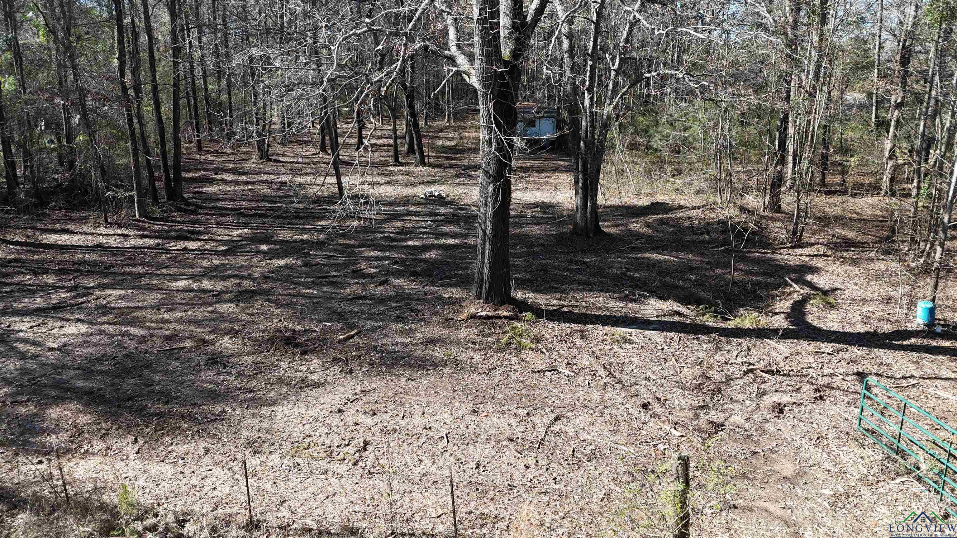 Lot 29 Pr 2702, Karnack, Texas image 1