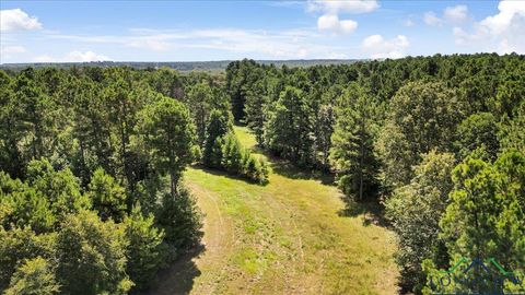 Homes For Sale - TBD Sue Belle<br/> Marshall, TX 75670