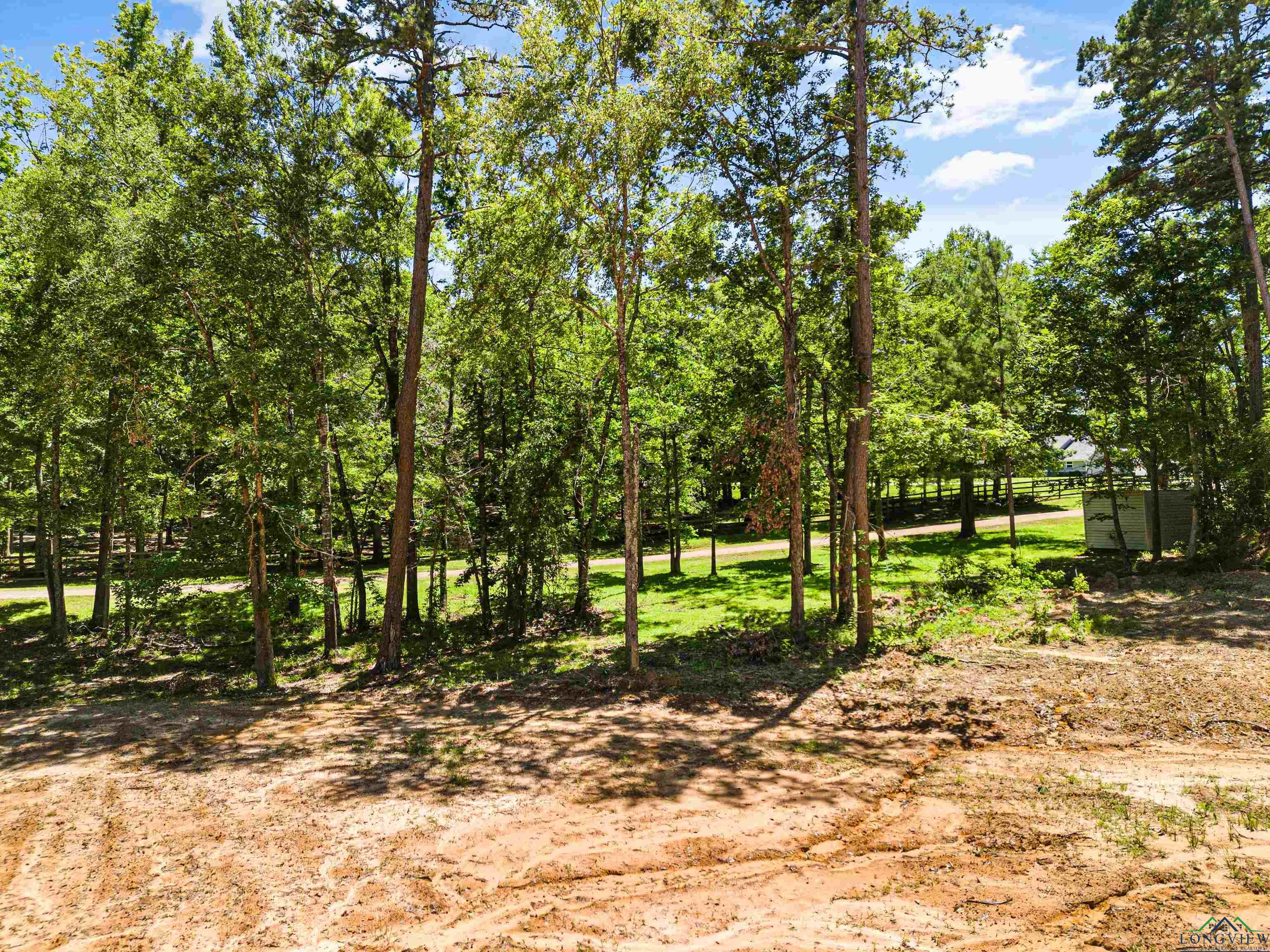 1014 Big Woods, Longview, Texas image 12