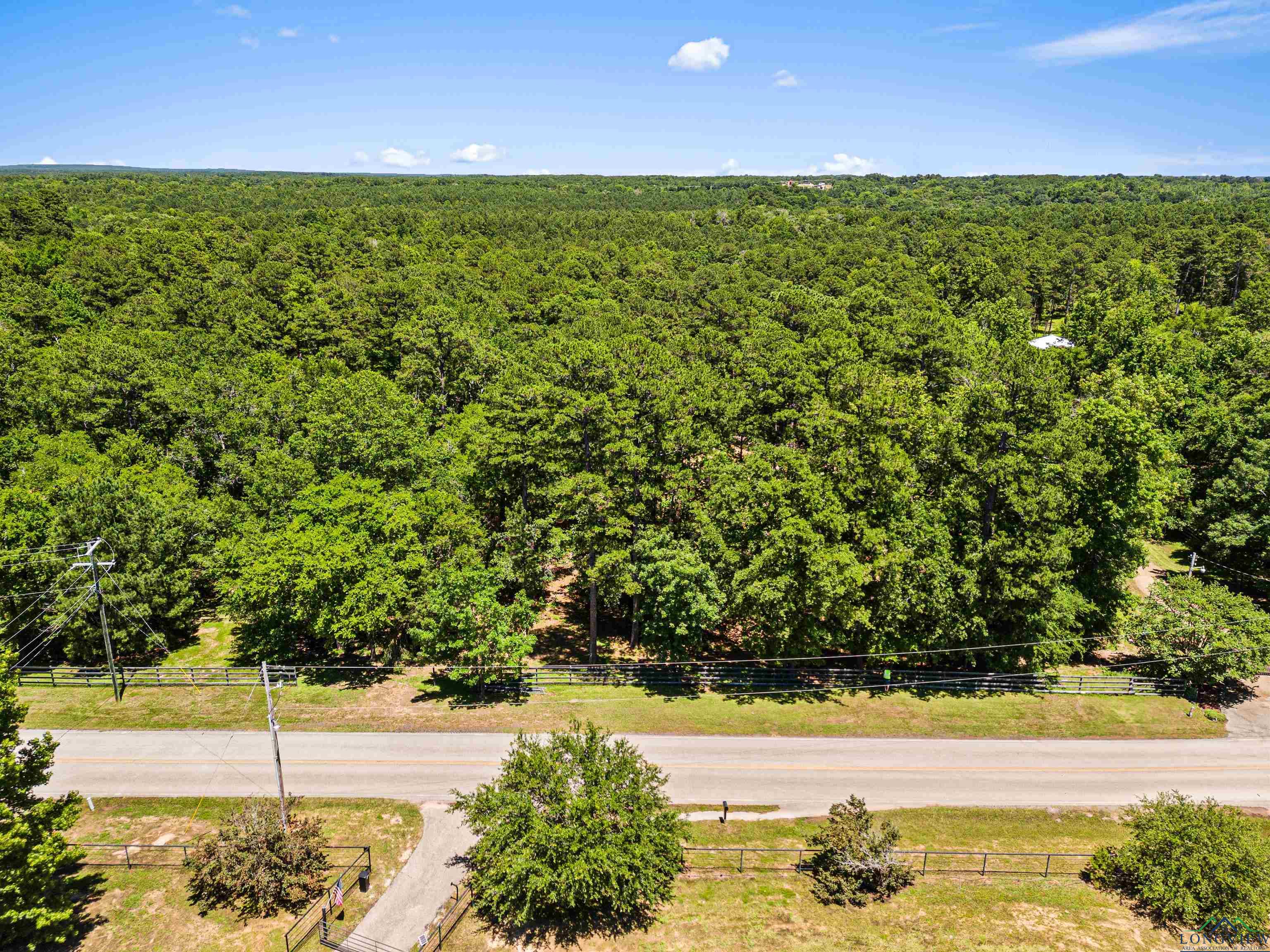 1014 Big Woods, Longview, Texas image 7