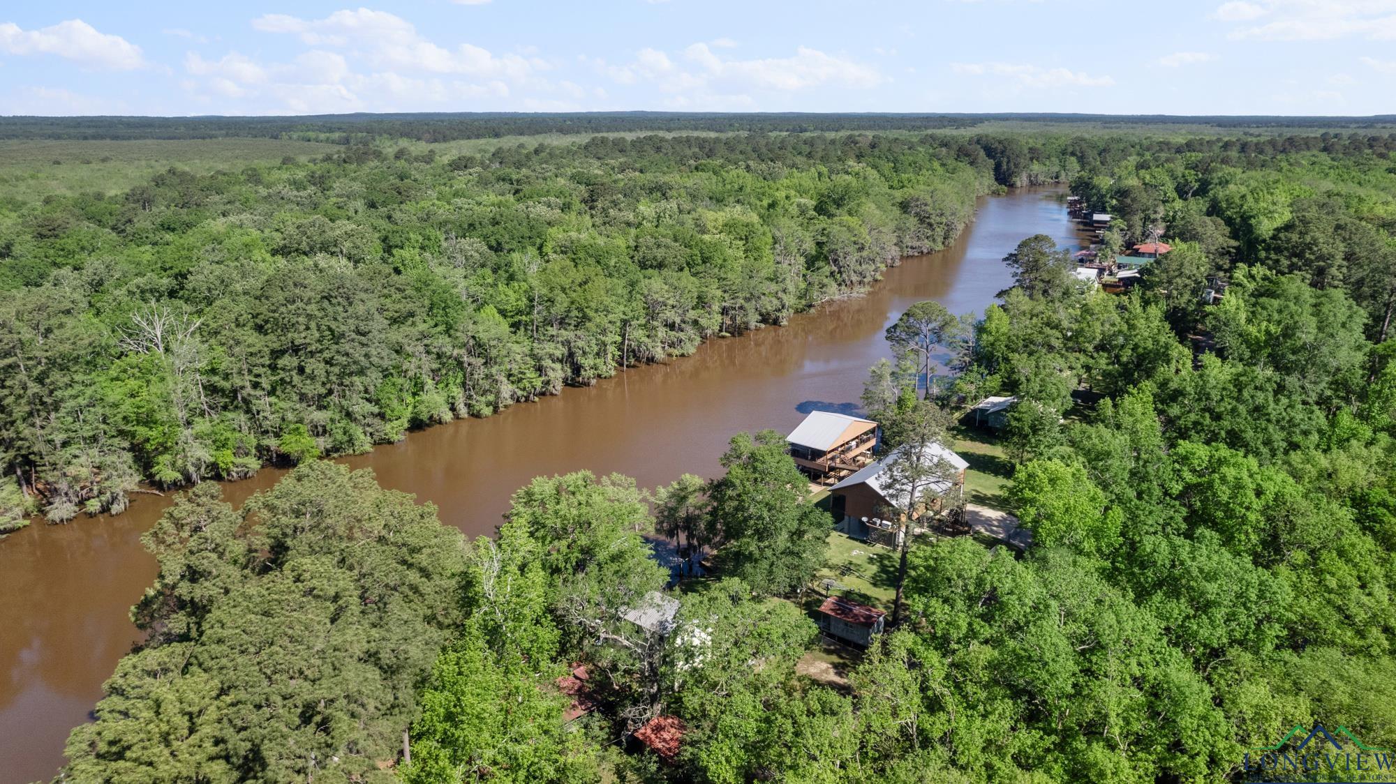 1741 Pine Island, Karnack, Texas image 36