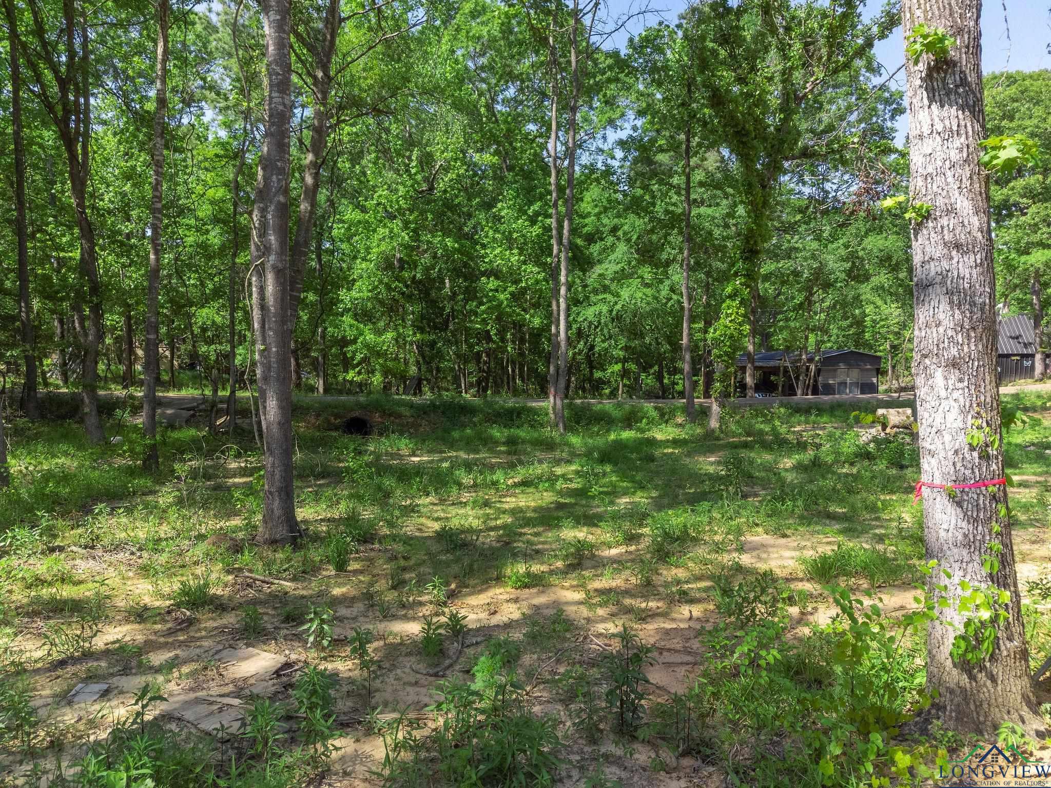 TBD Cypresswood Trl, Gilmer, Texas image 22