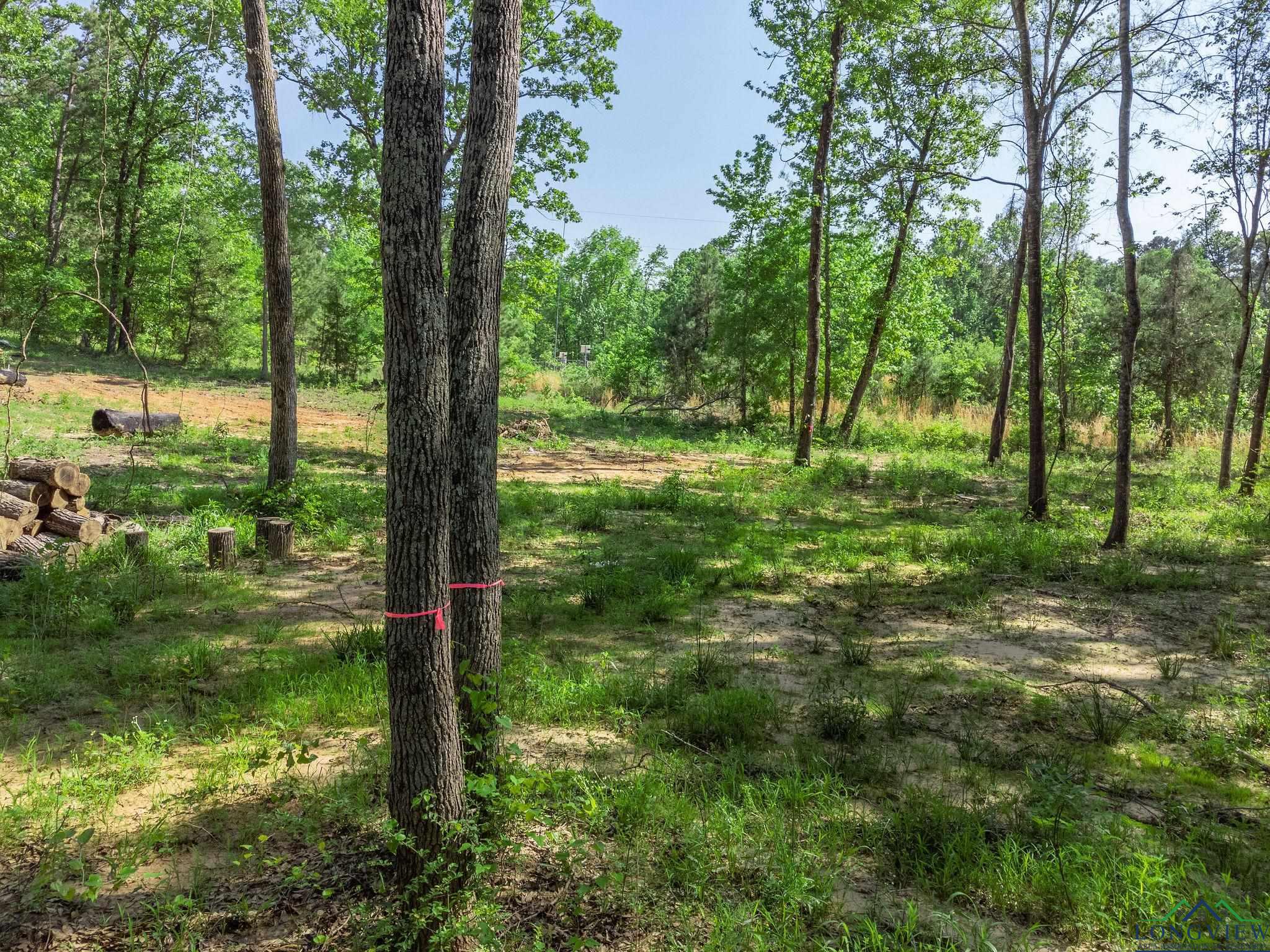 TBD Cypresswood Trl, Gilmer, Texas image 21