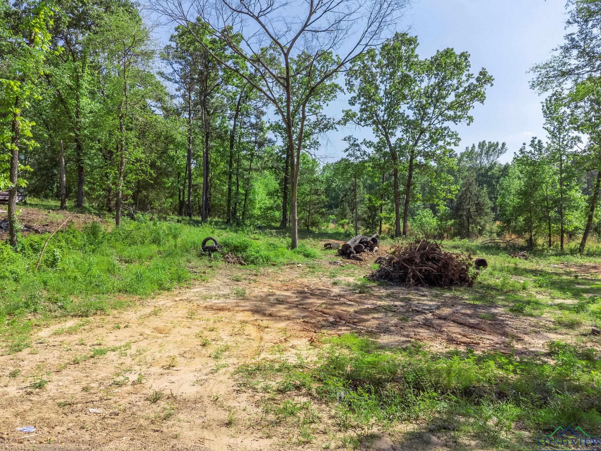 TBD Cypresswood Trl, Gilmer, Texas image 17