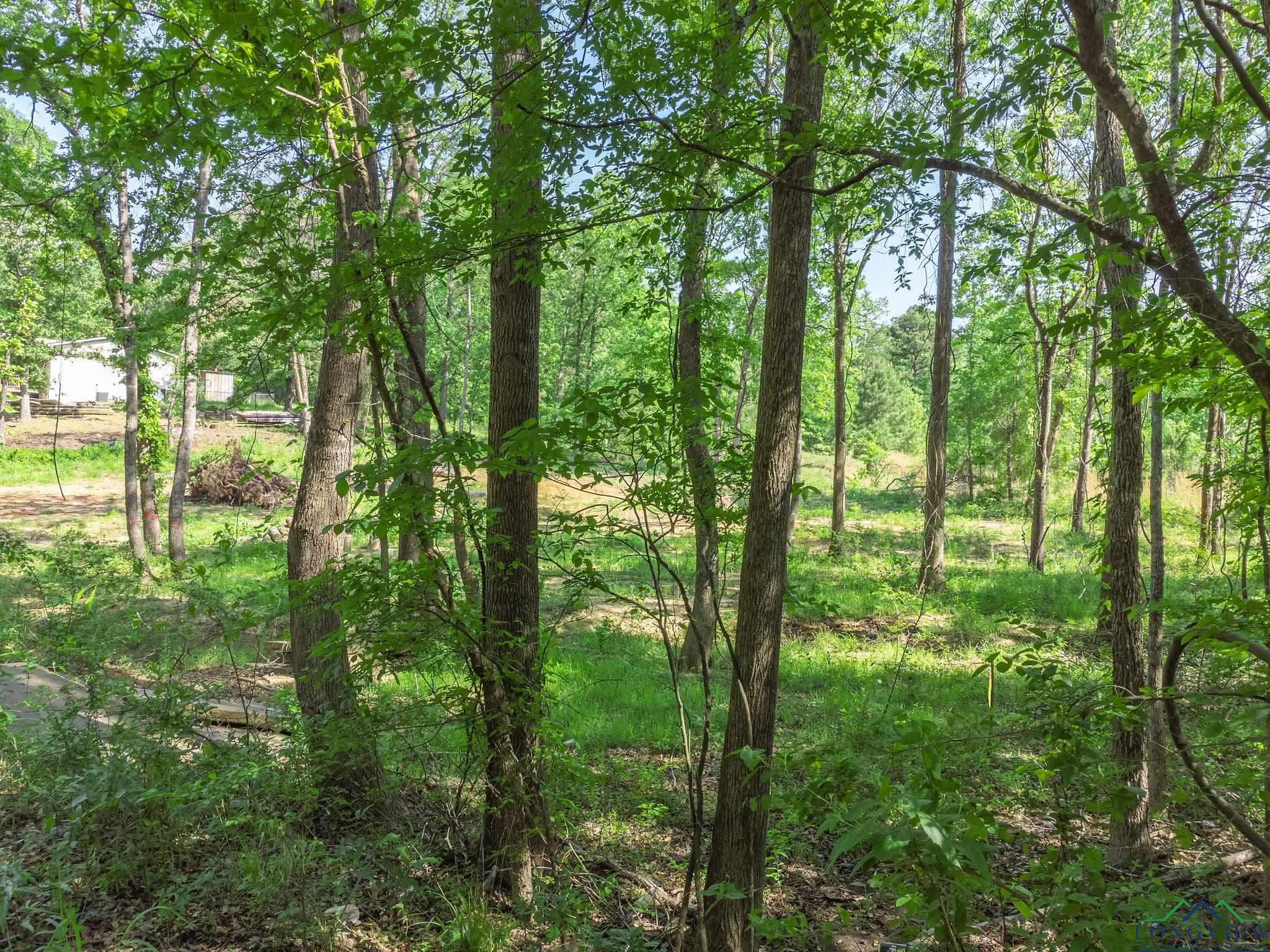 TBD Cypresswood Trl, Gilmer, Texas image 20