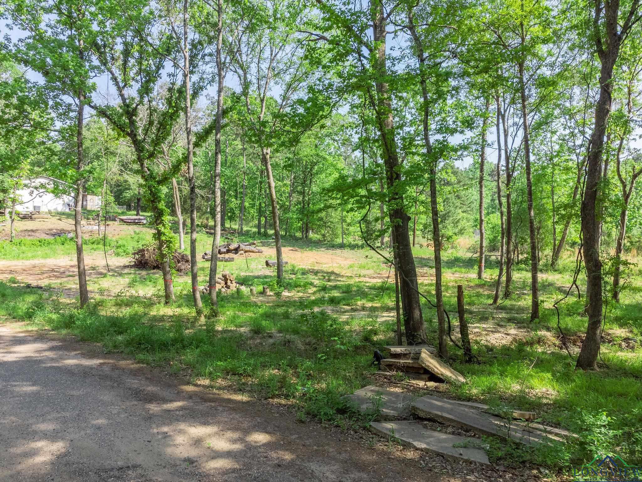 TBD Cypresswood Trl, Gilmer, Texas image 19