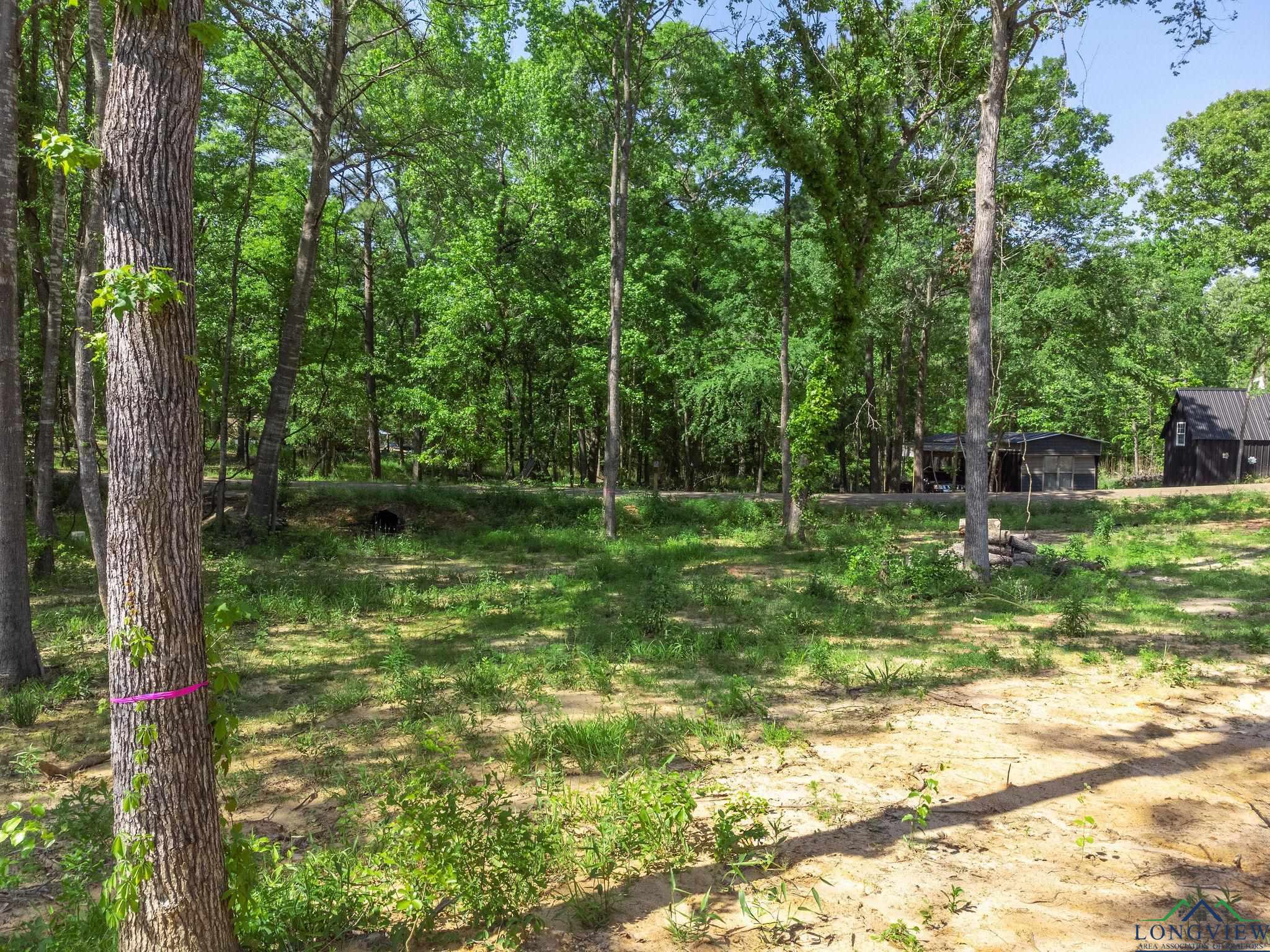 TBD Cypresswood Trl, Gilmer, Texas image 1