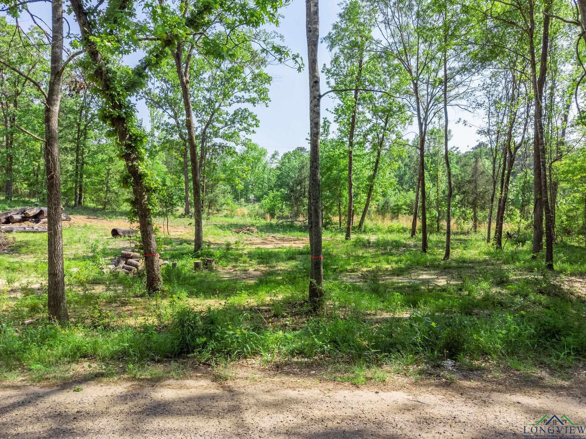 TBD Cypresswood Trl, Gilmer, Texas image 18