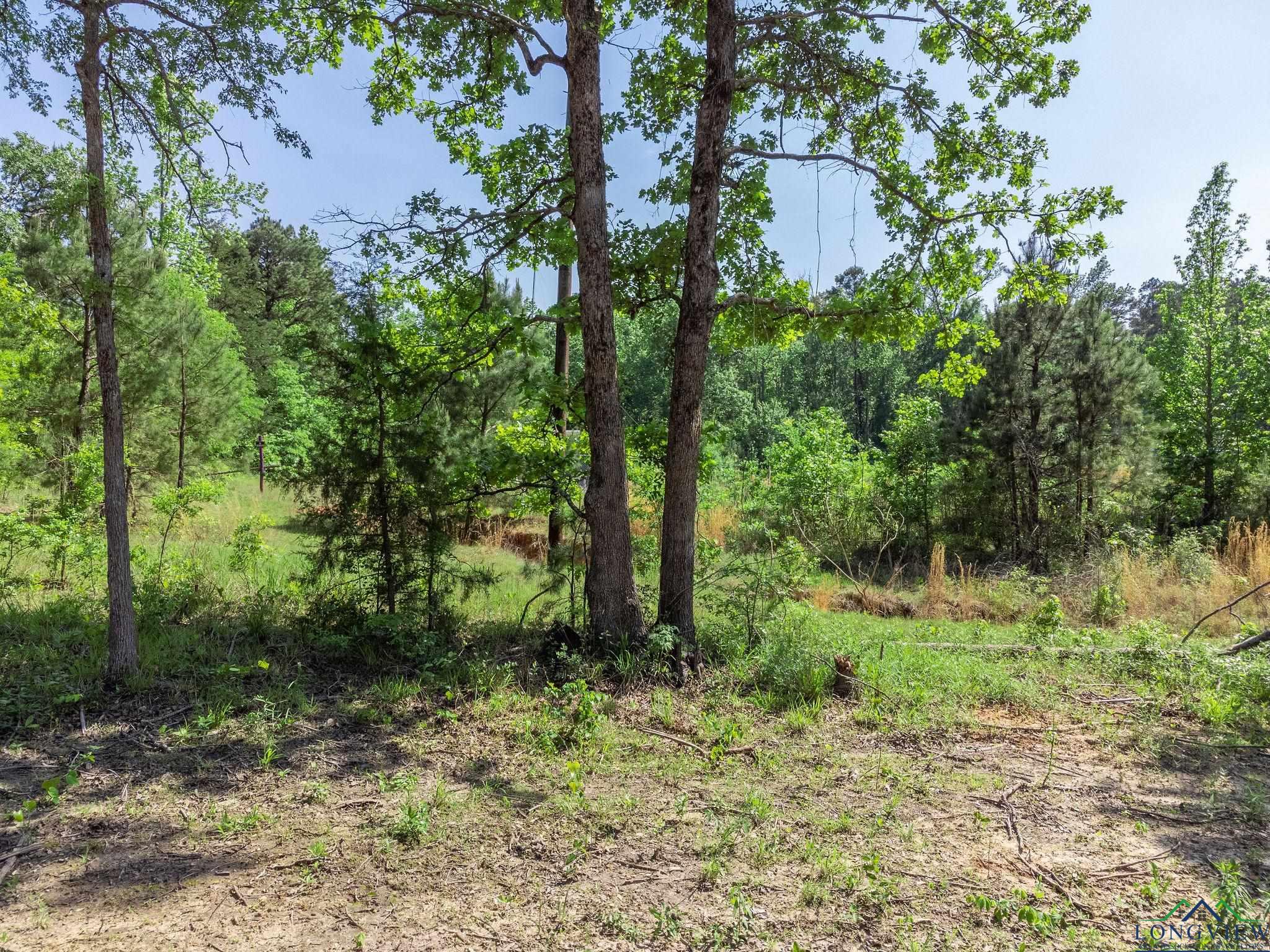 TBD Cypresswood Trl, Gilmer, Texas image 14