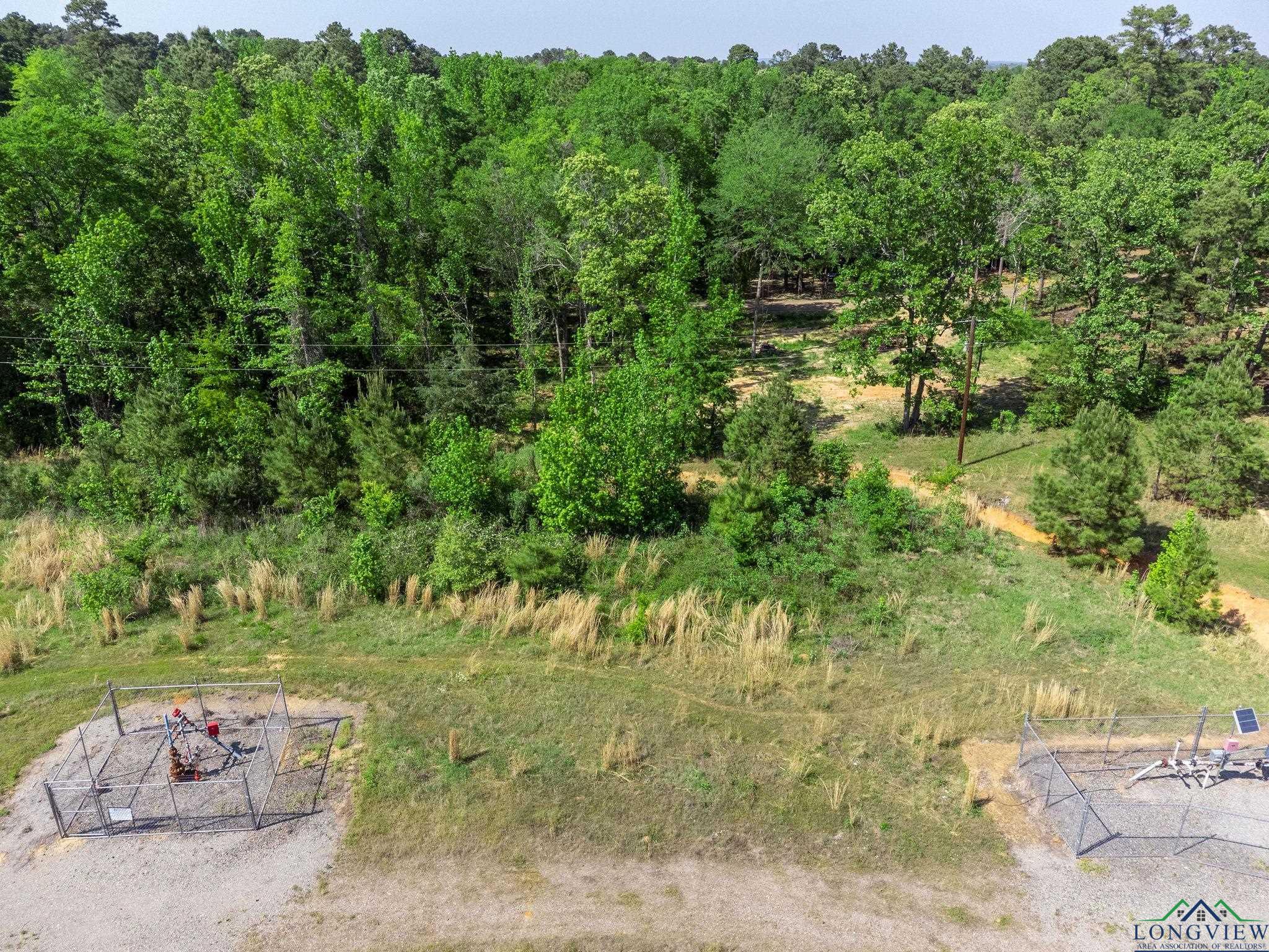 TBD Cypresswood Trl, Gilmer, Texas image 11