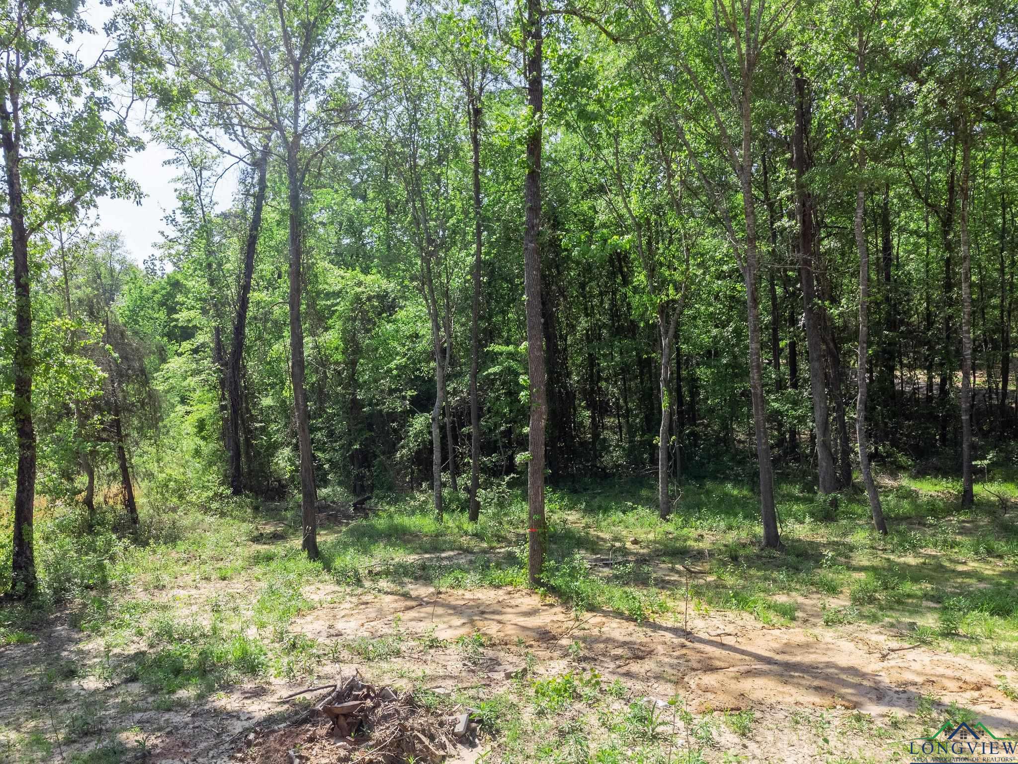 TBD Cypresswood Trl, Gilmer, Texas image 13
