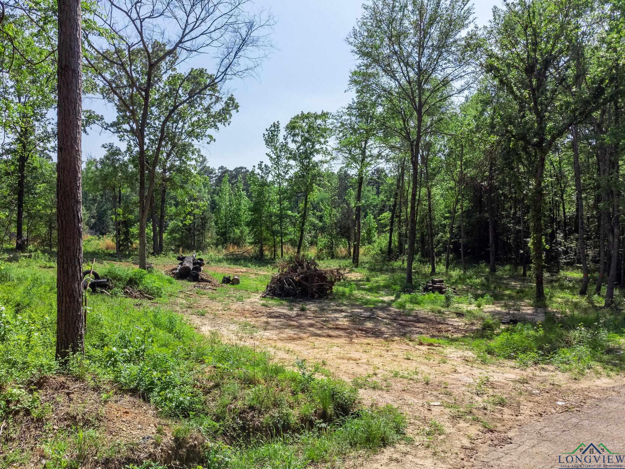 TBD Cypresswood Trl, Gilmer, Texas image 16