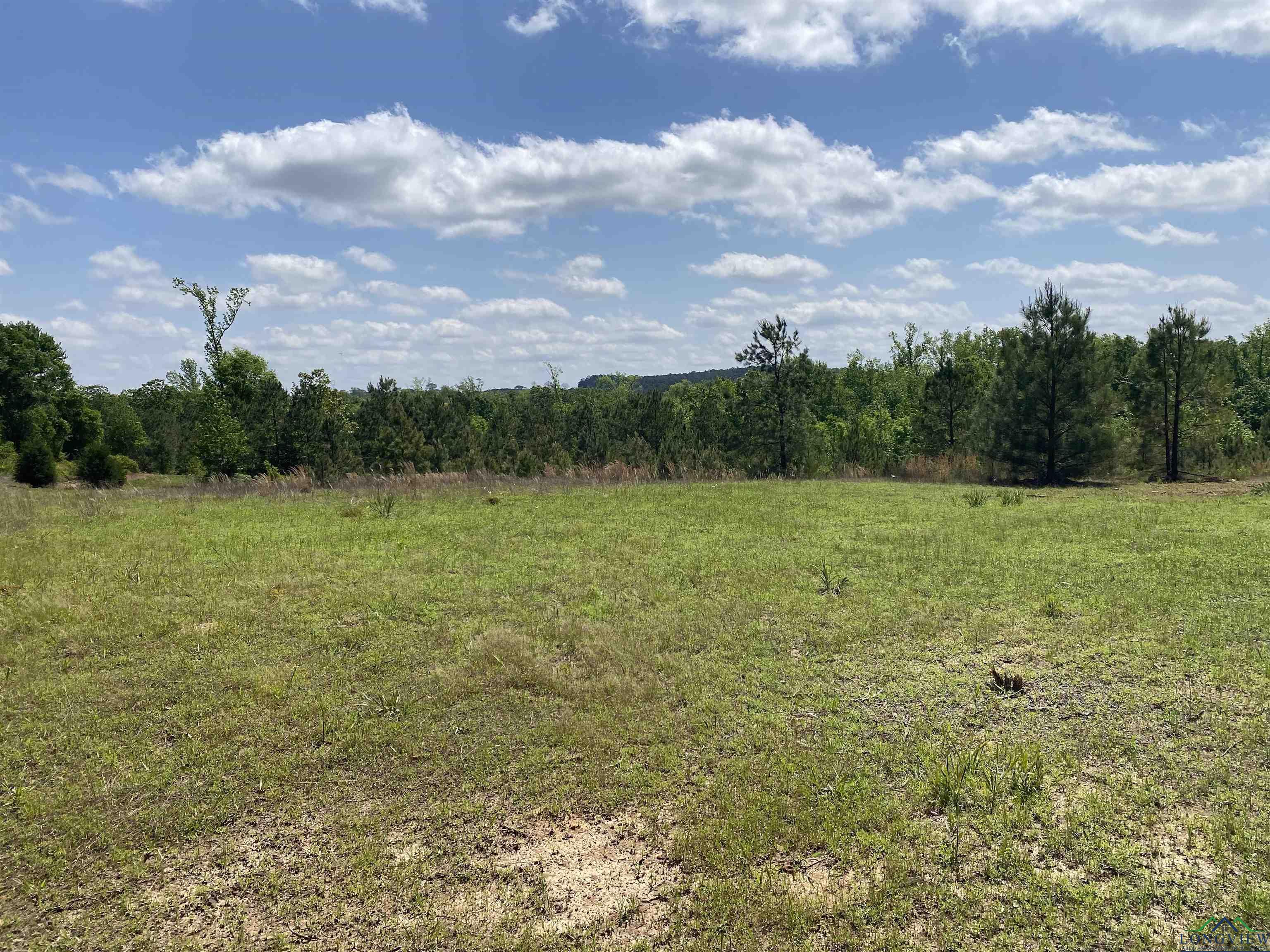 TBD Athens Church Rd, Hallsville, Texas image 25
