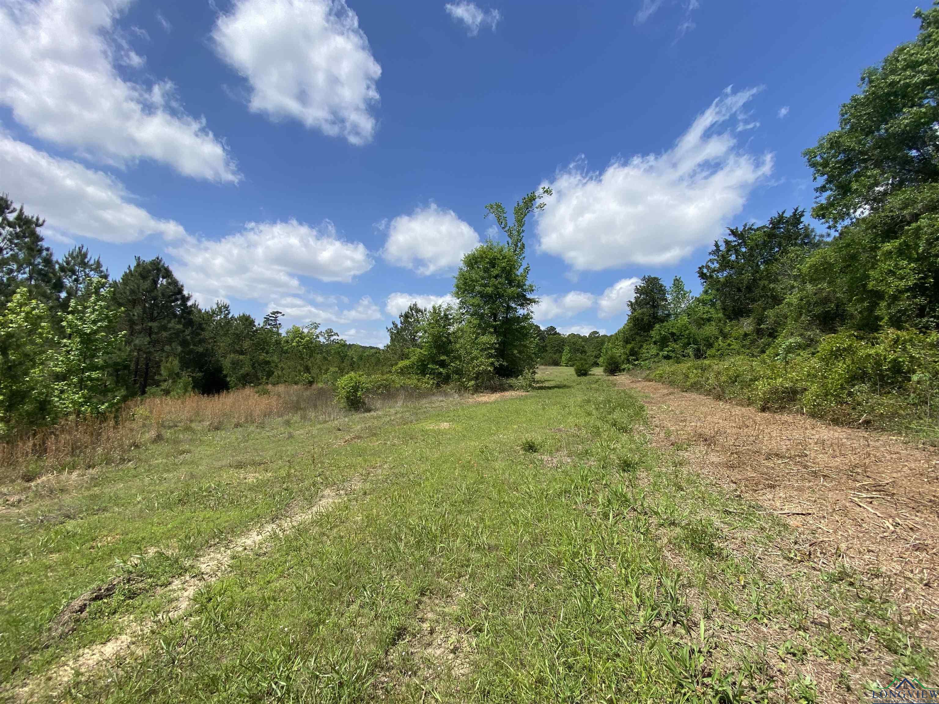 TBD Athens Church Rd, Hallsville, Texas image 50