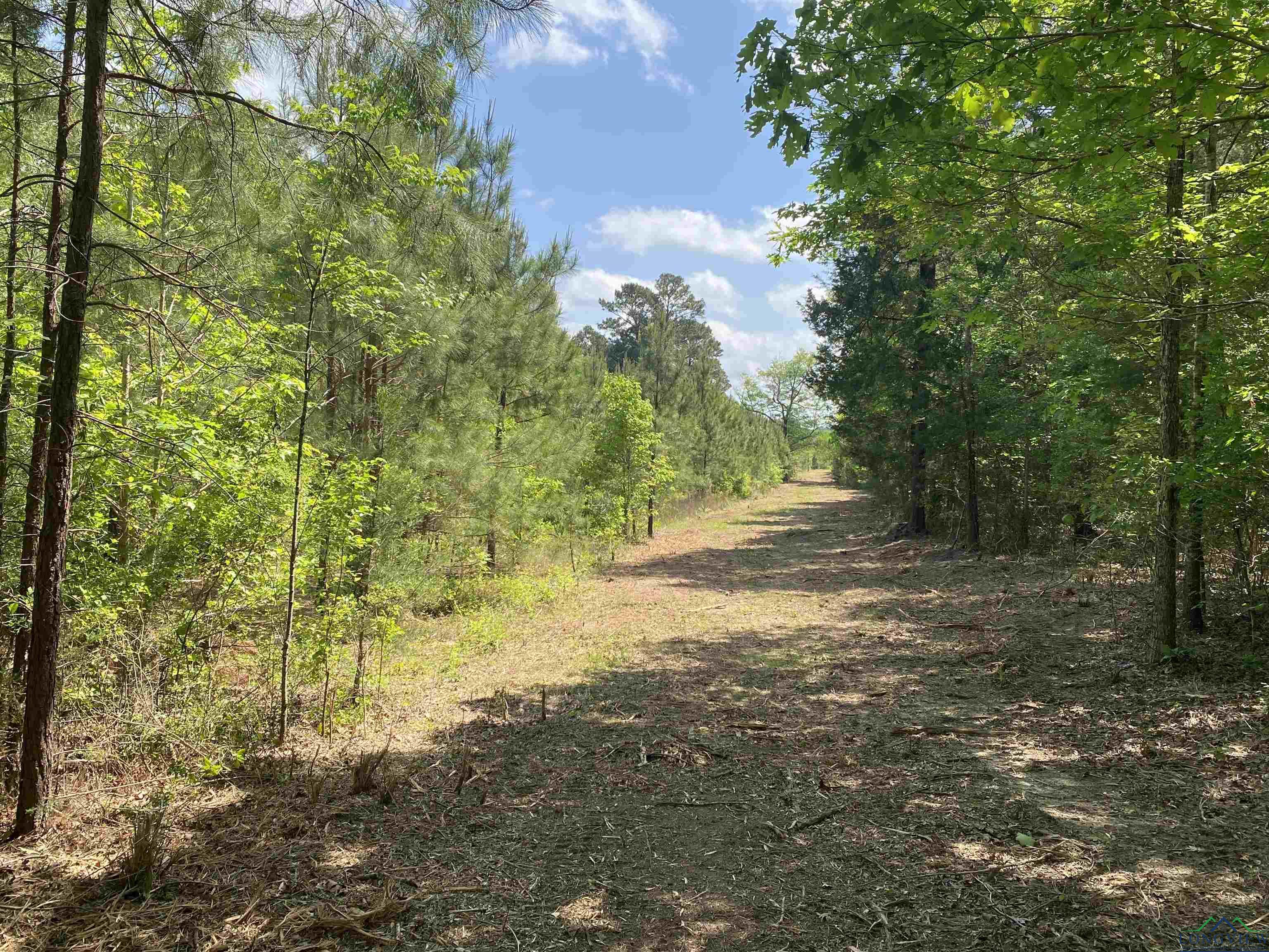 TBD Athens Church Rd, Hallsville, Texas image 27