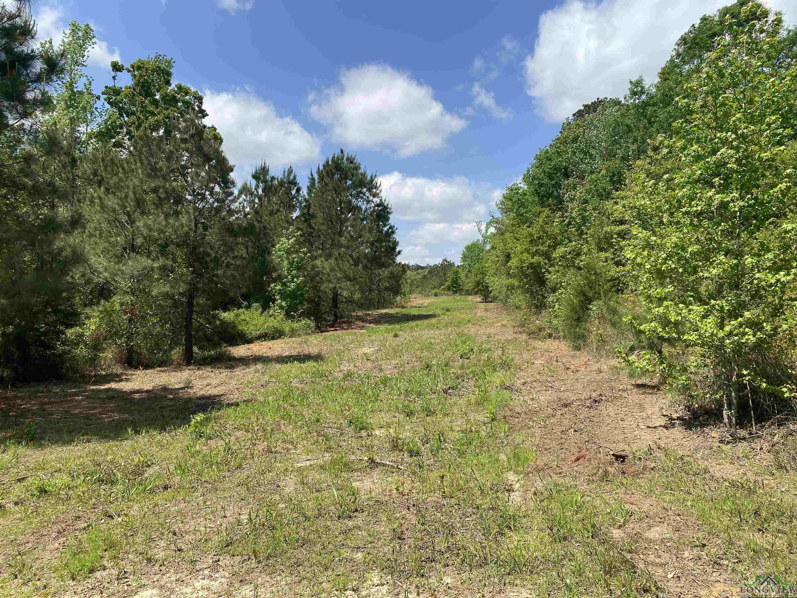 TBD Athens Church Rd, Hallsville, Texas image 43