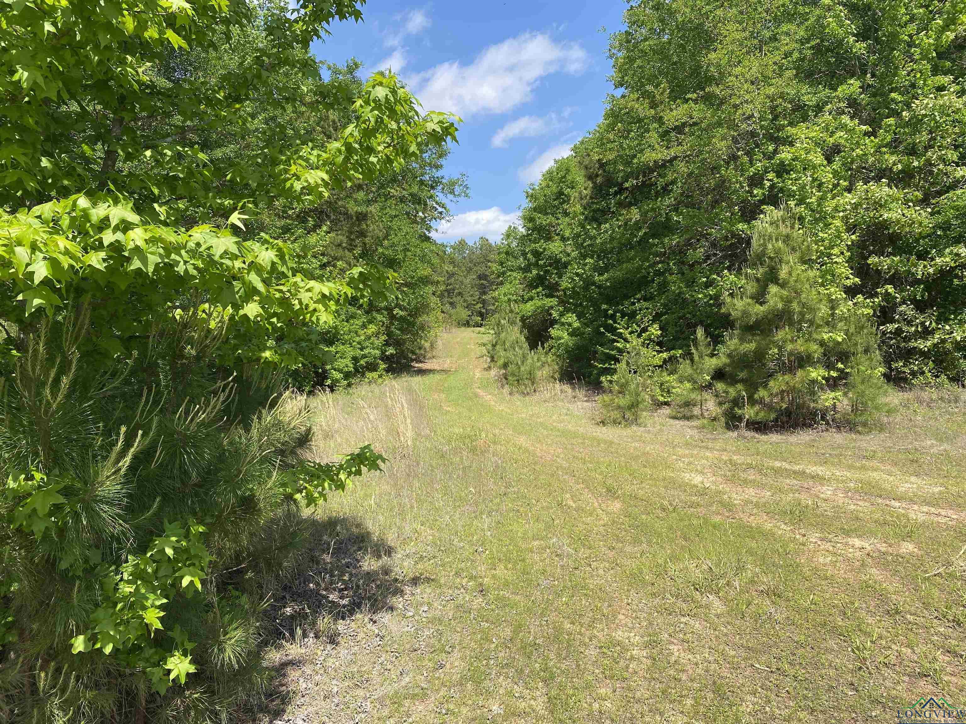 TBD Athens Church Rd, Hallsville, Texas image 37