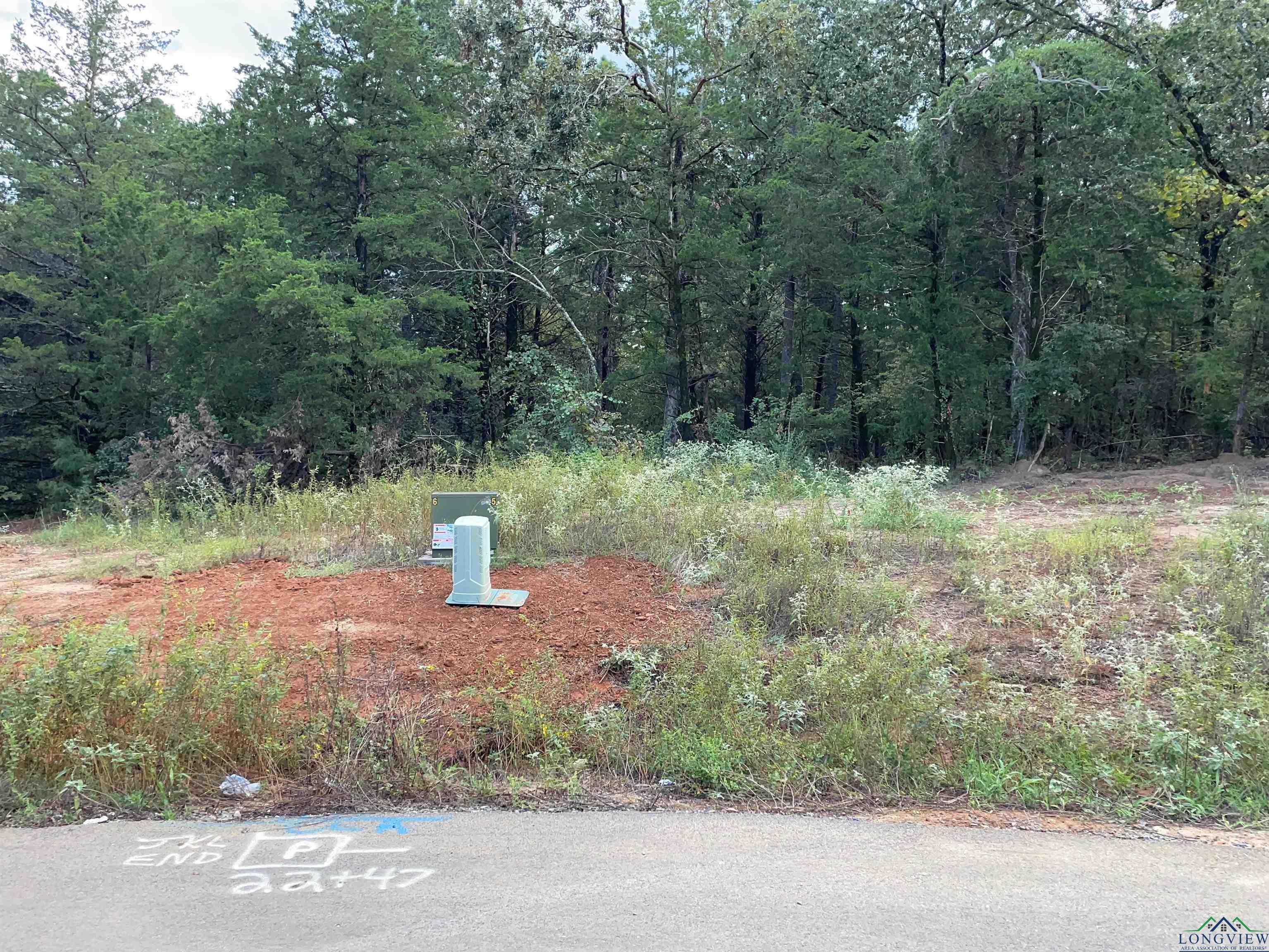 Tbd Cedarpark Place Lot 21, Lindale, Texas image 1