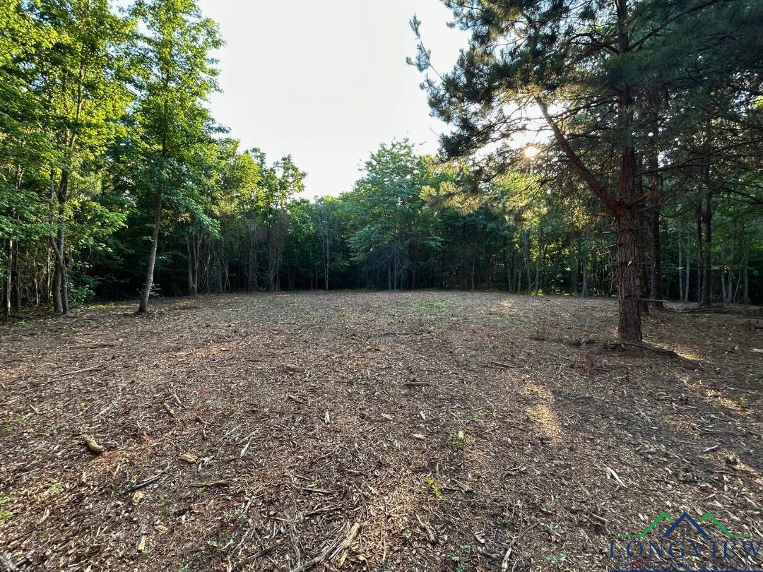 21 Ac Cr 2349, Marietta, Texas image 4
