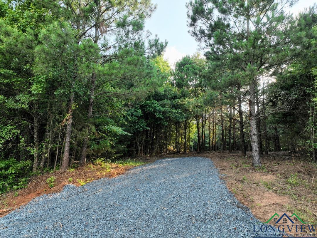 21 Ac Cr 2349, Marietta, Texas image 9