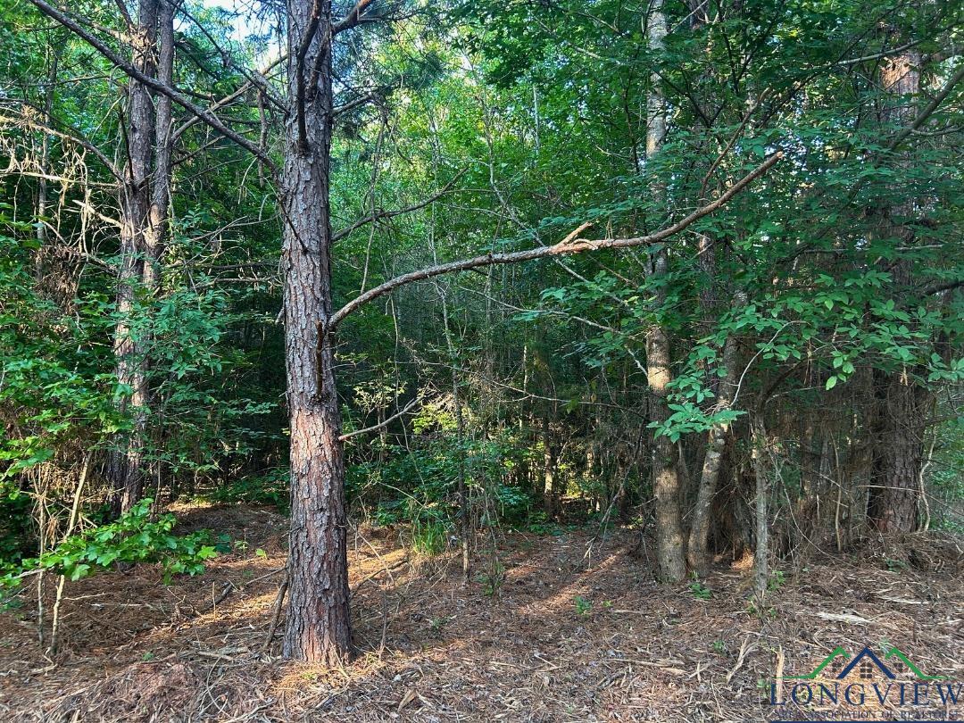 21 Ac Cr 2349, Marietta, Texas image 6