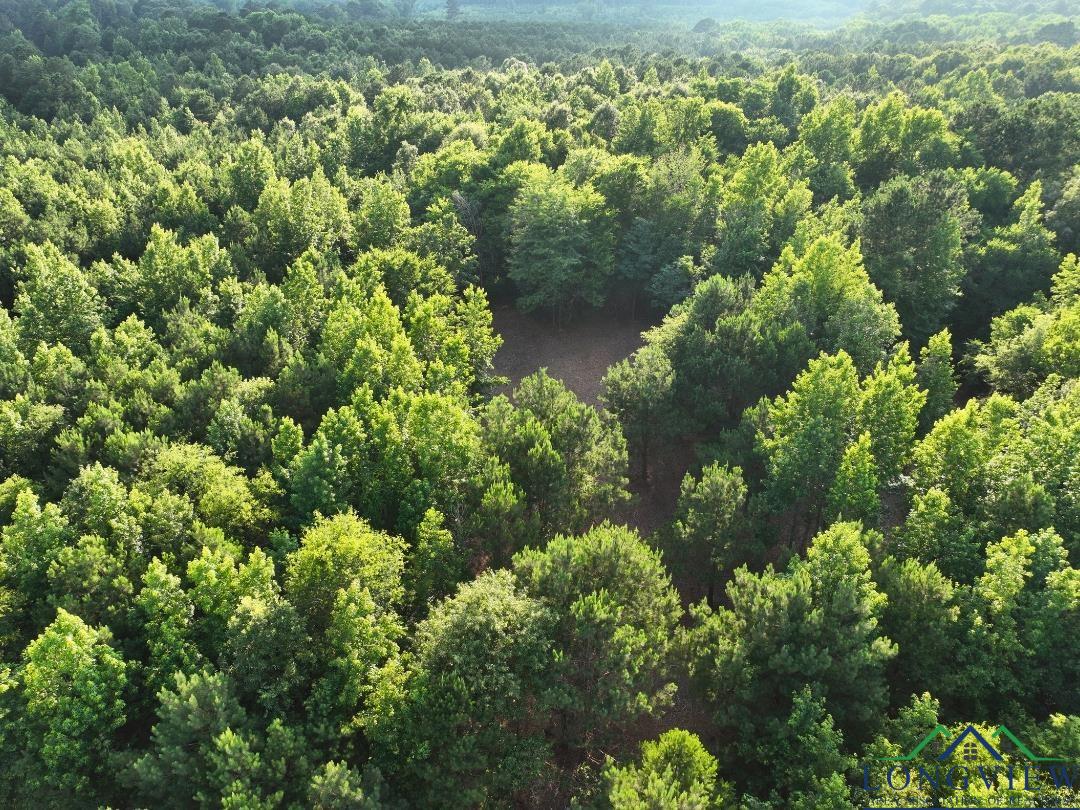 21 Ac Cr 2349, Marietta, Texas image 2