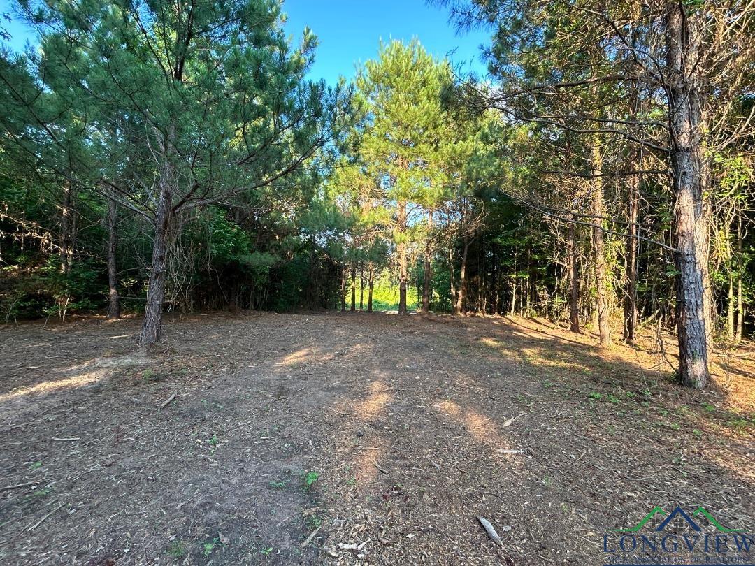 21 Ac Cr 2349, Marietta, Texas image 8