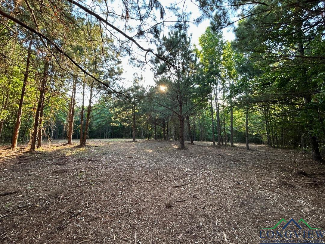 21 Ac Cr 2349, Marietta, Texas image 5