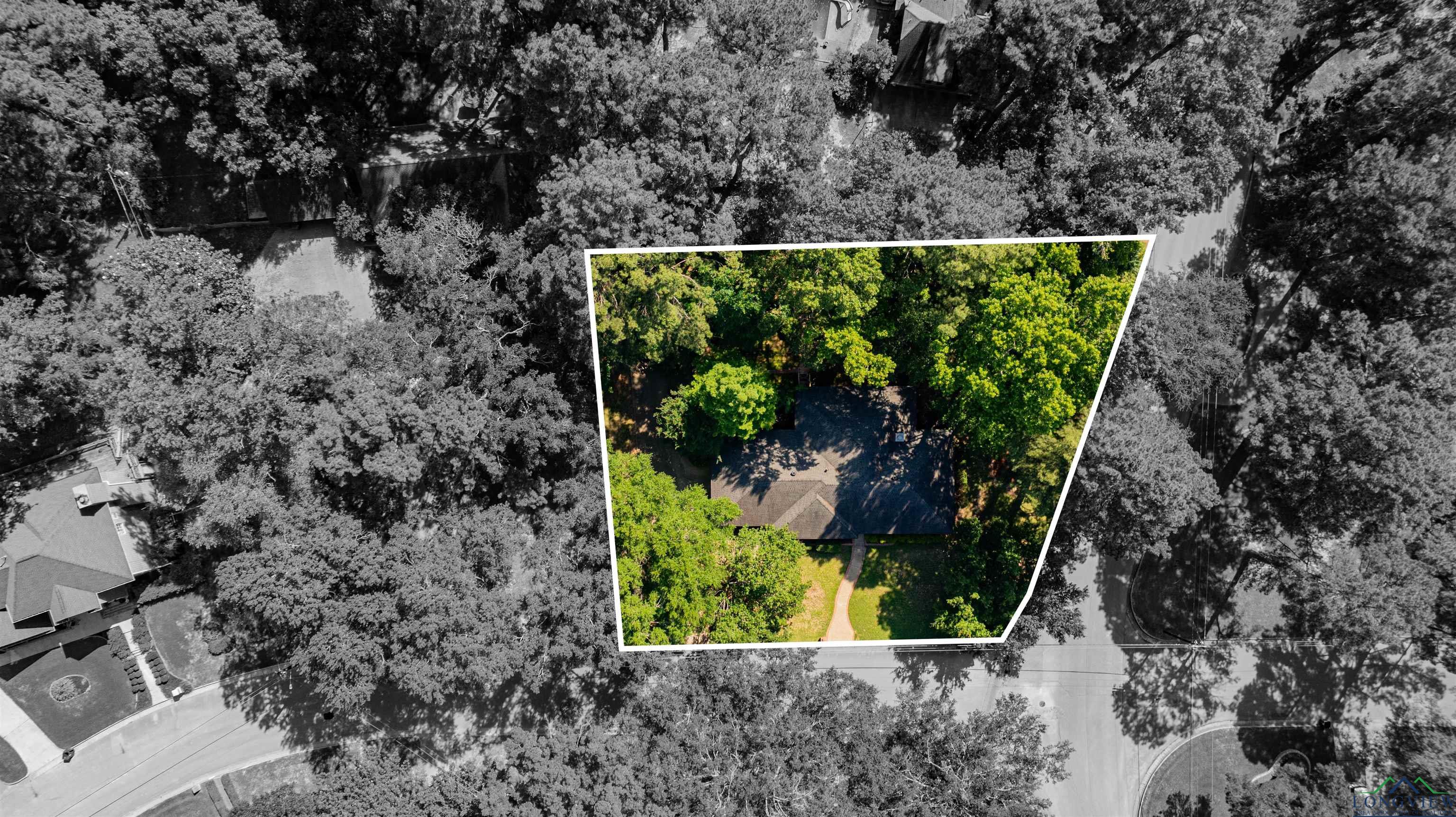 9211 Elm Tree Circle, Tyler, Texas image 29