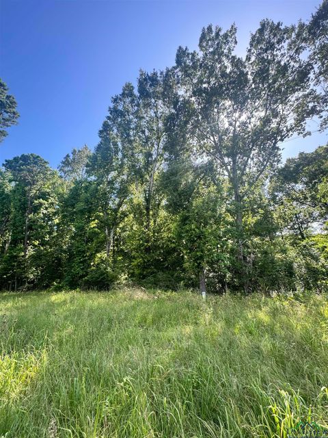 Homes For Sale - TBD Fm 2658<br/> Rusk County, Tatum, TX 75691